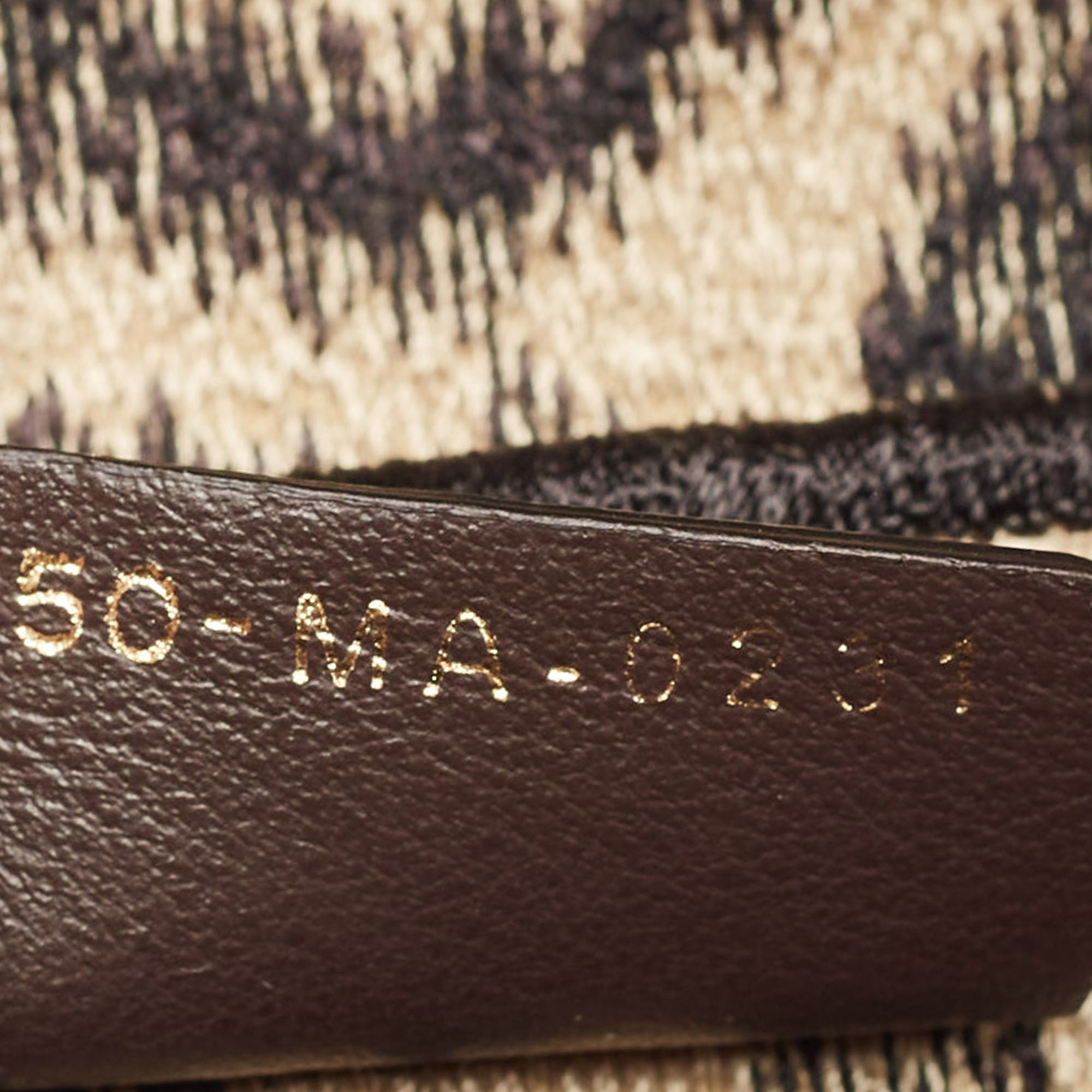 Dior Black/Cream Leopard Print Canvas Embroidered Saddle Bag 