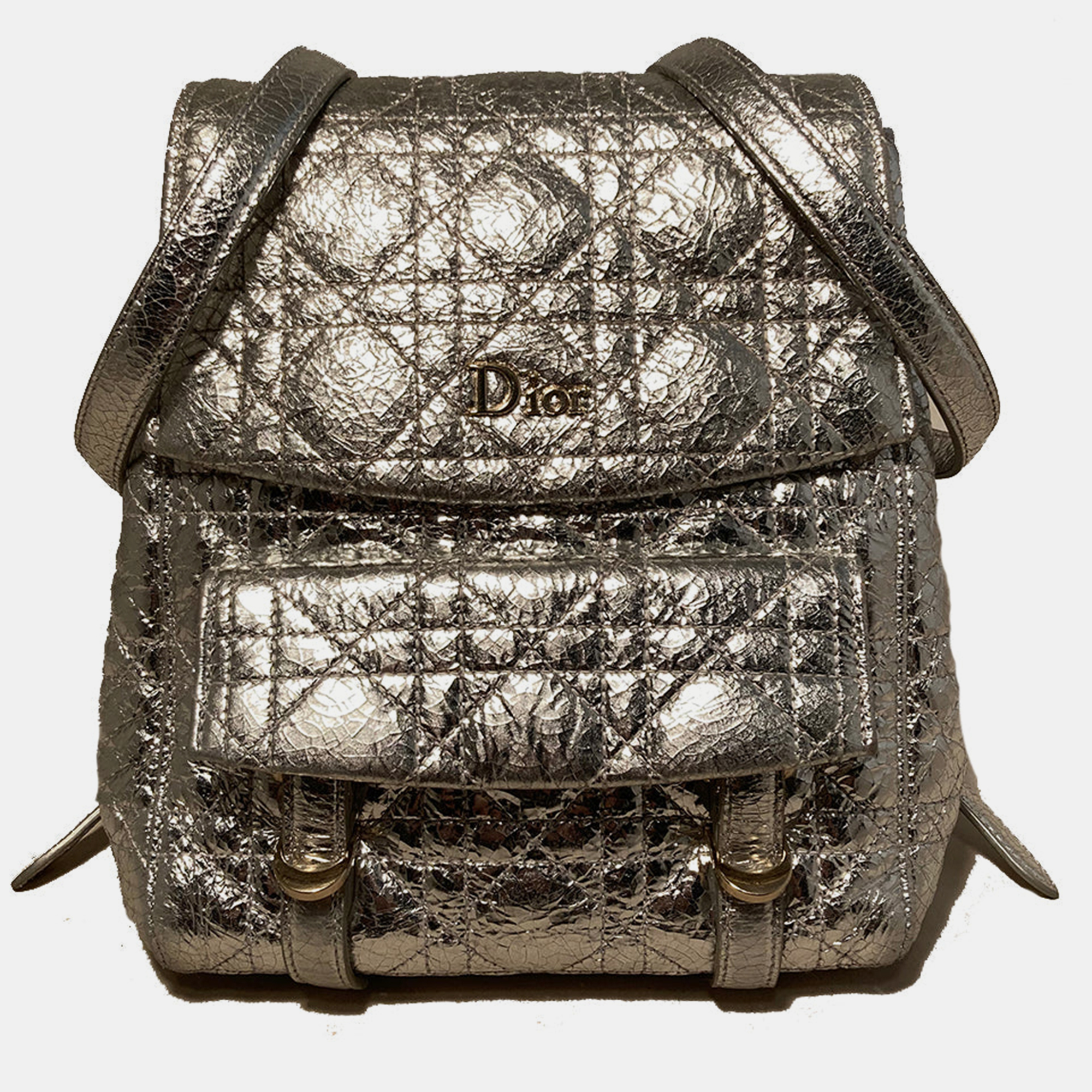 

Dior Stardust Silver Leather Backpack