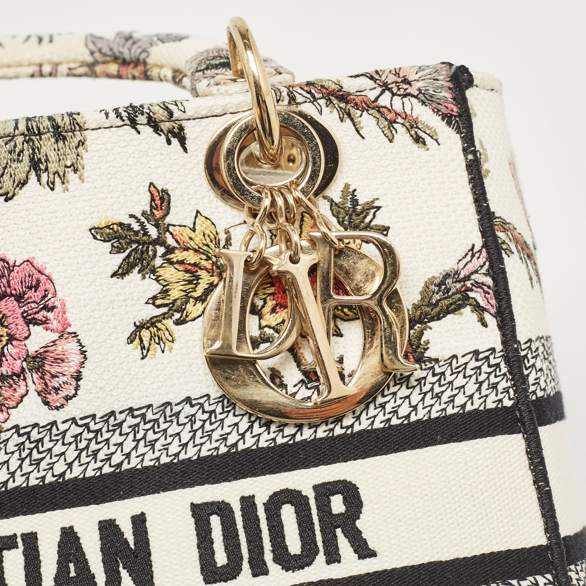 Dior Multicolor Floral Embroidered Canvas Medium Lady D-Lite Tote 