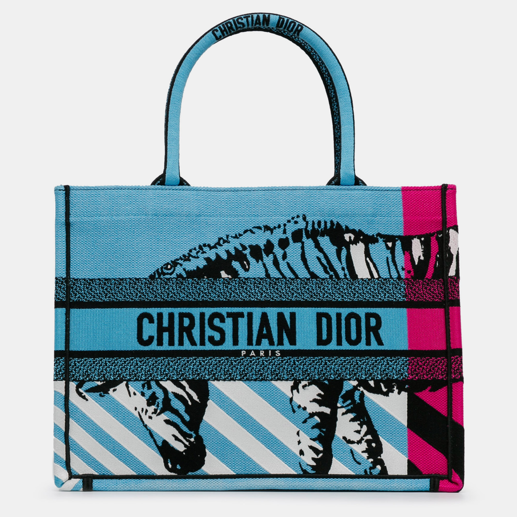 

Dior Blue Medium D-Jungle Pop Book Tote Bag