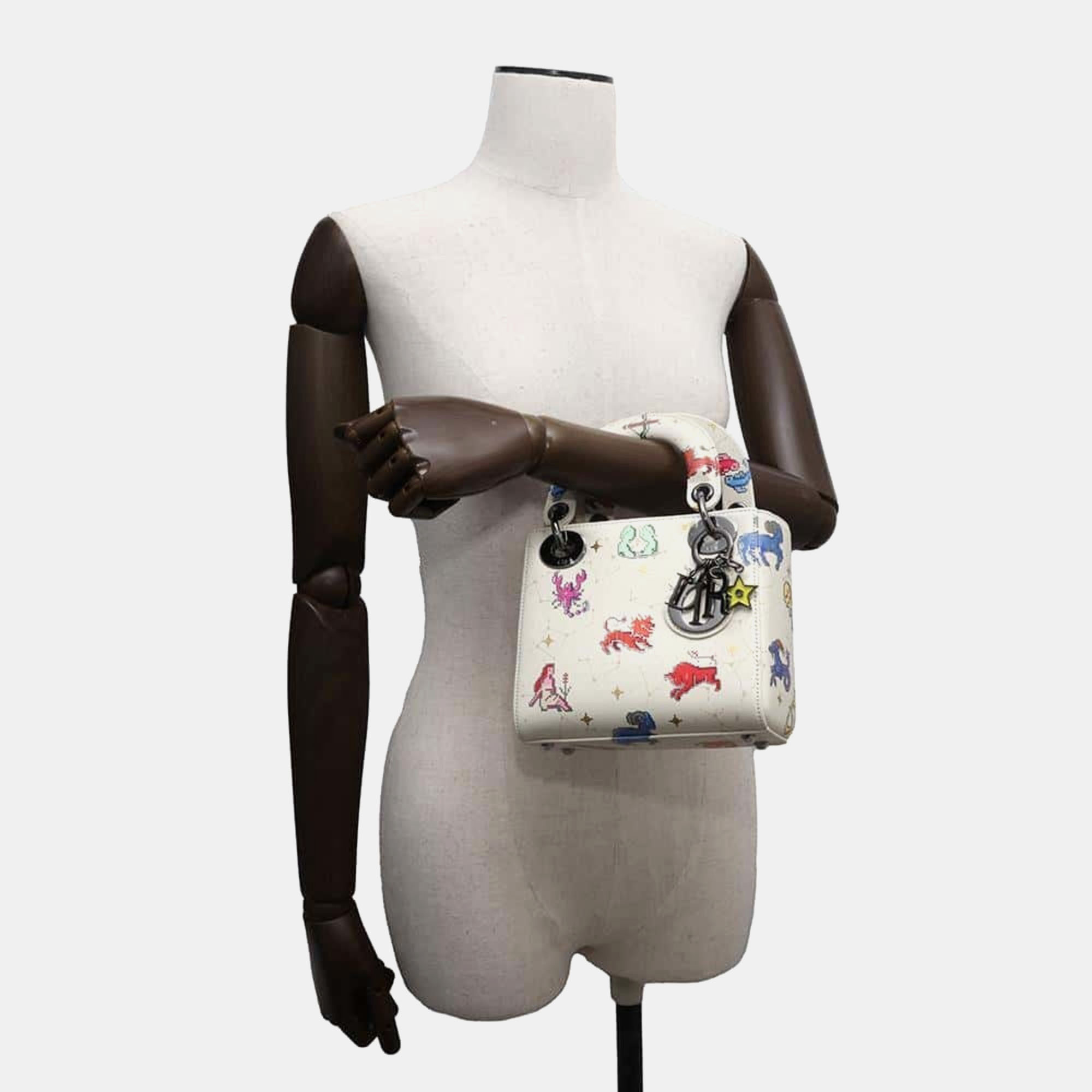 Dior Multicolor Leather Lady Dior Constellation Handbag 