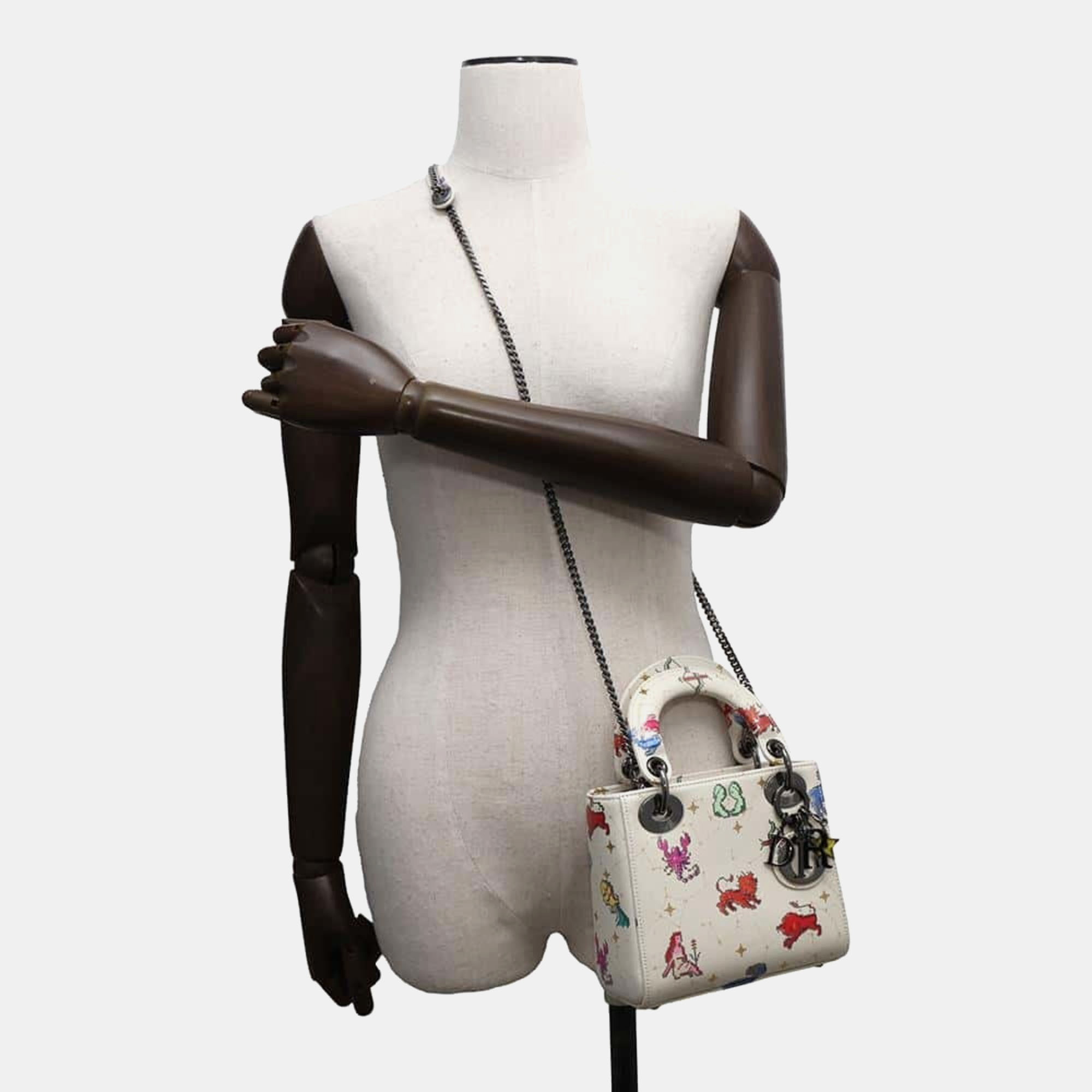 Dior Multicolor Leather Lady Dior Constellation Handbag 