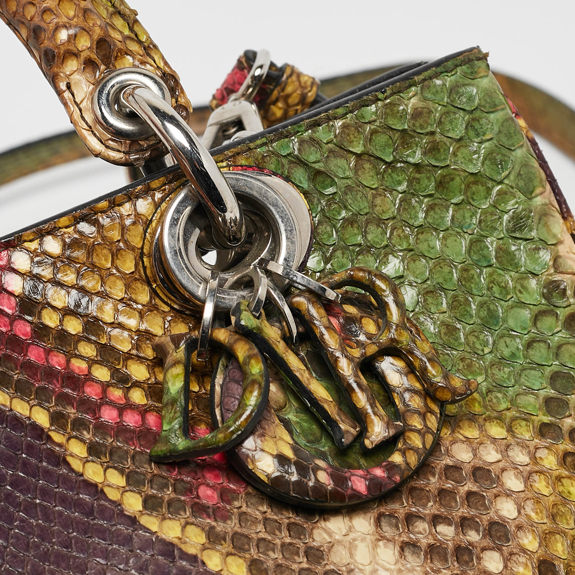Dior Multicolor Python Mini Diorissimo Tote 
