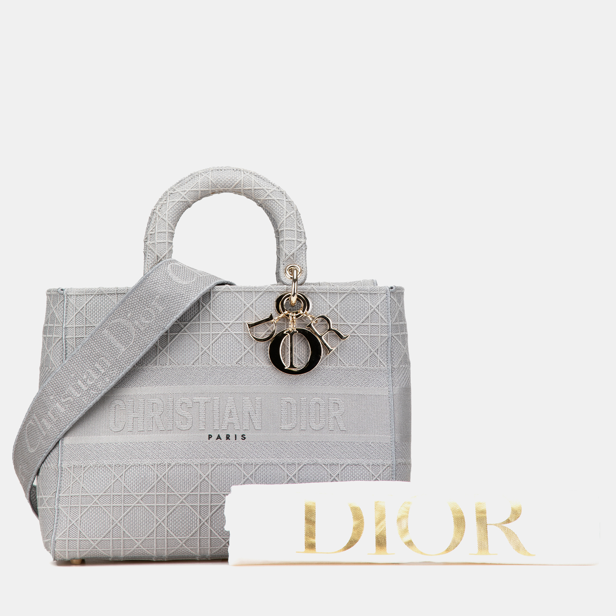 Dior Grey Large Canvas Cannage Lady D Lite 