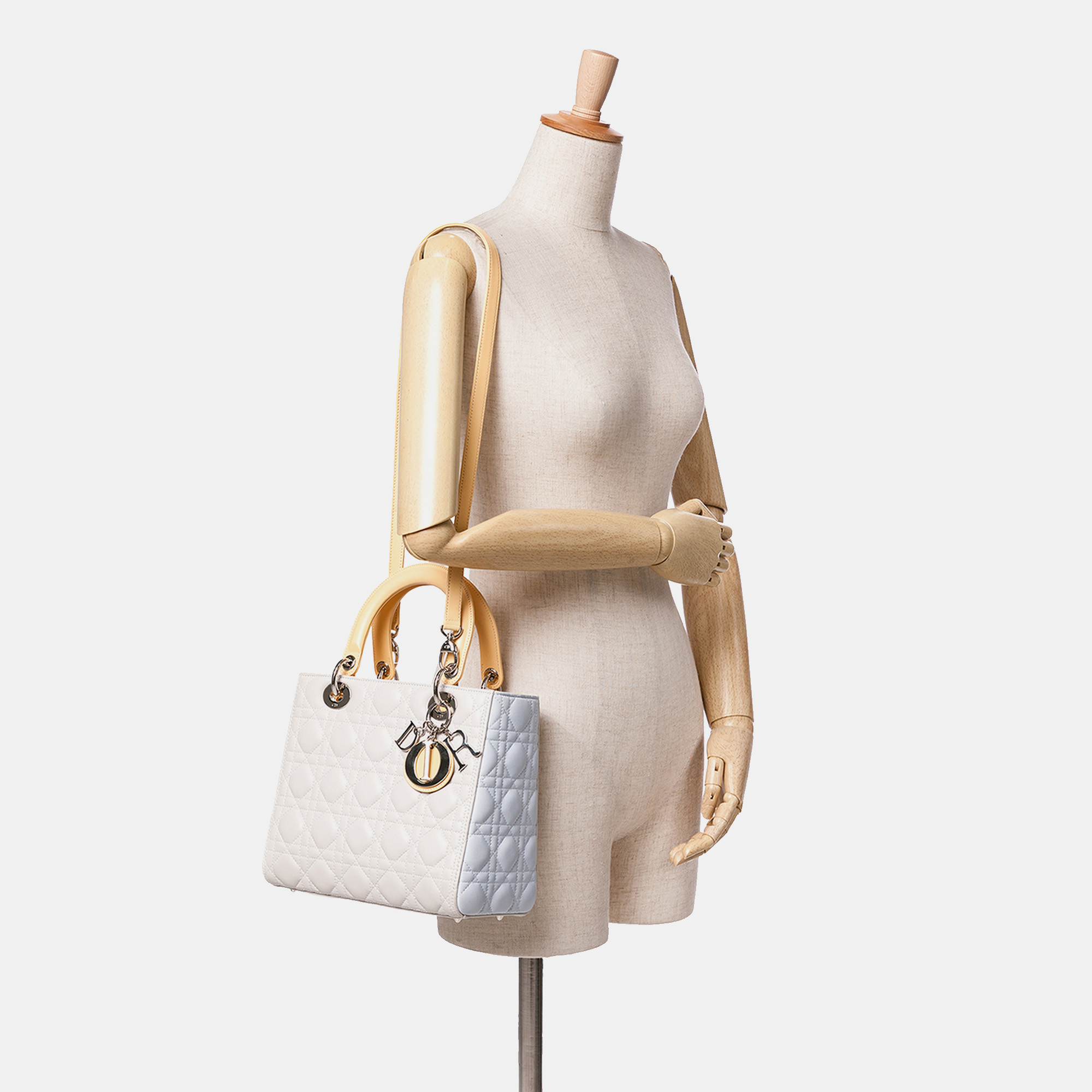 Dior Grey Medium Tricolor Lambskin Cannage Lady Dior 