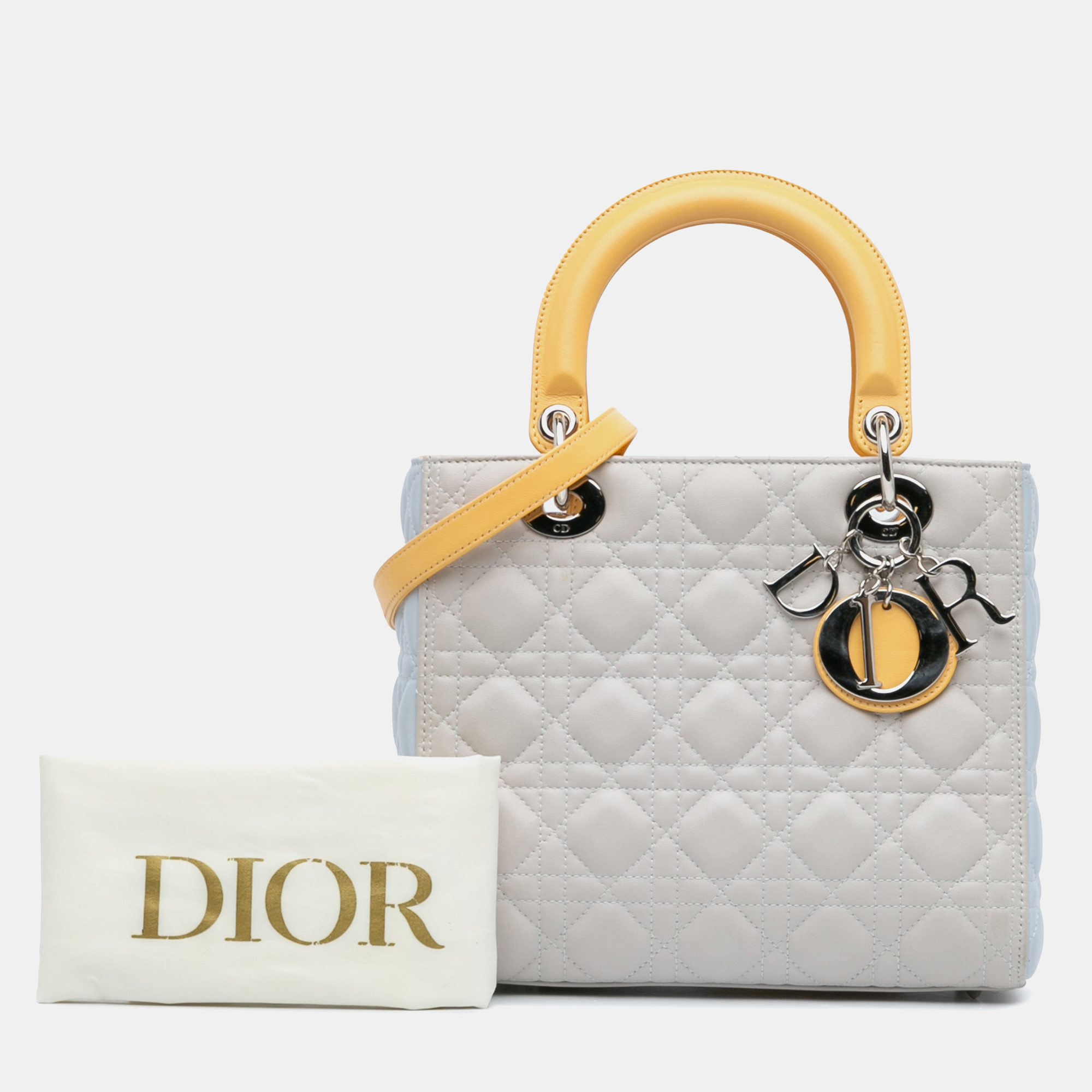 Dior Grey Medium Tricolor Lambskin Cannage Lady Dior 