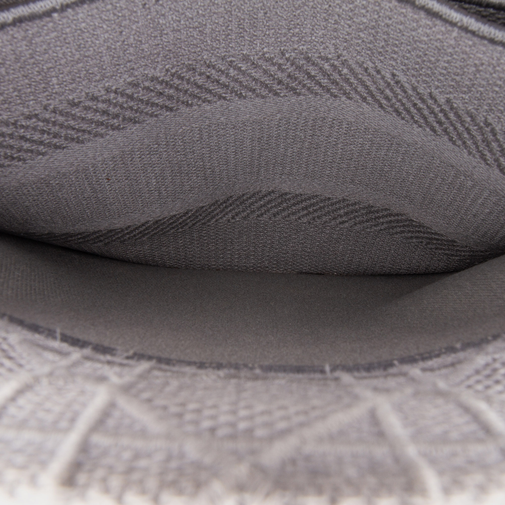 Dior Grey Medium Canvas Cannage Lady D Lite 