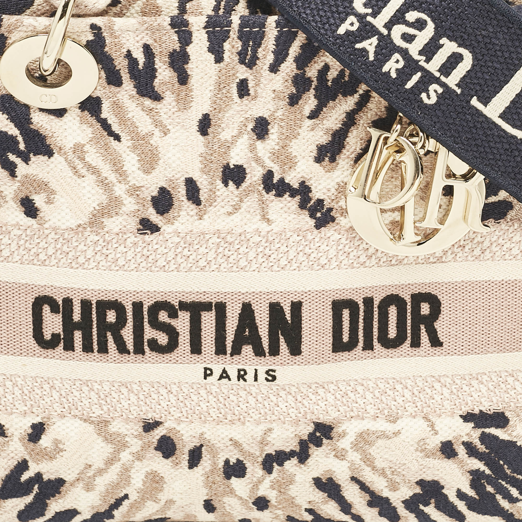 Dior Multicolor Canvas Medium Tie Dye Embroidered Lady D-Lite Tote 