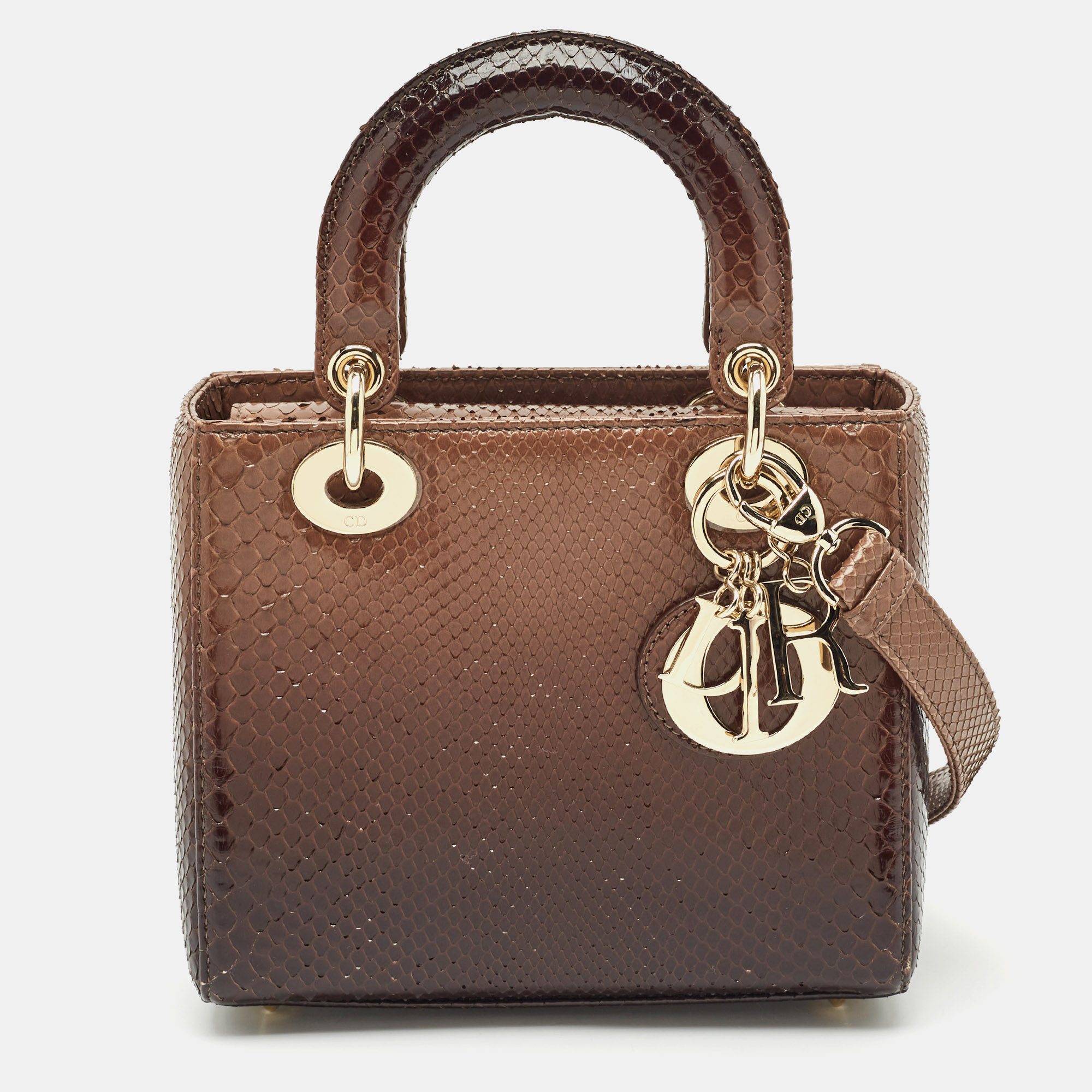 

Dior Ombre Brown Python Small Lady Dior Tote