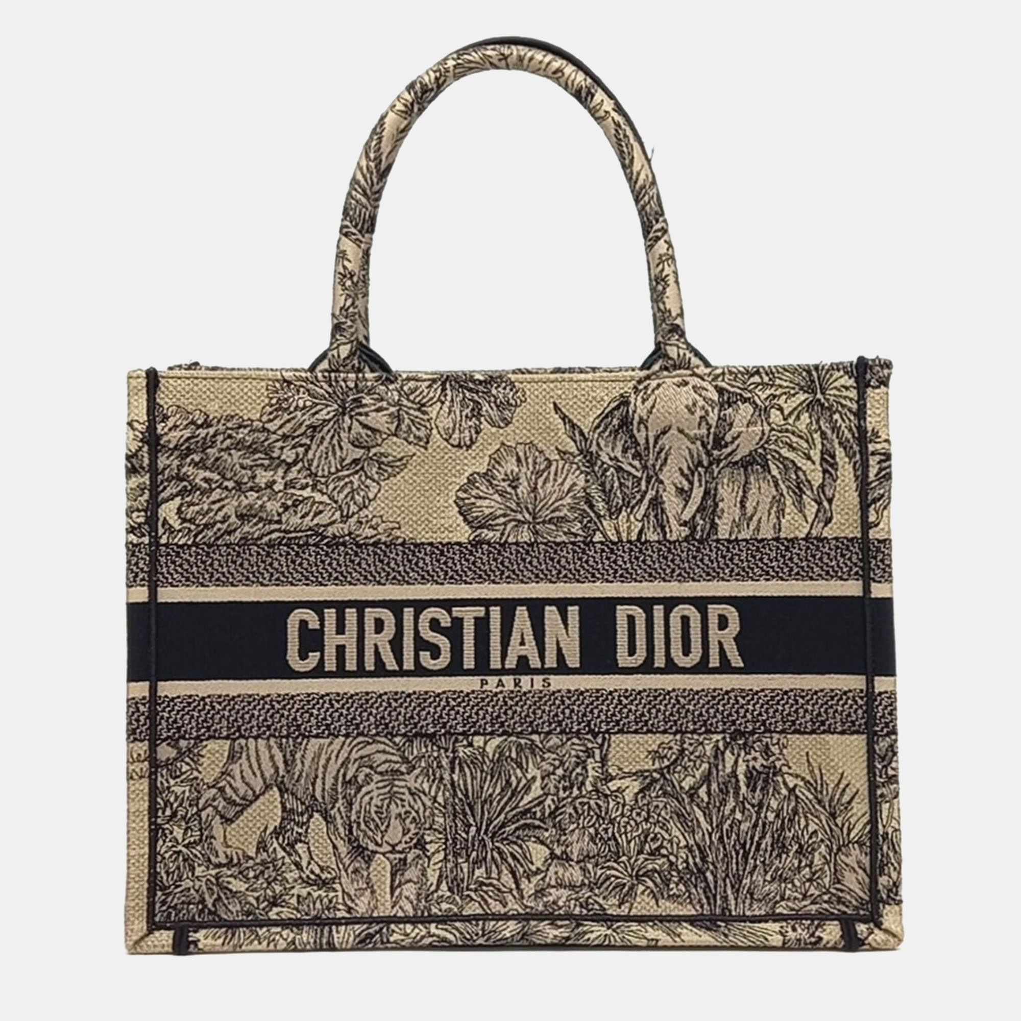 

Dior Multicolor Fabric Book Tote Bag