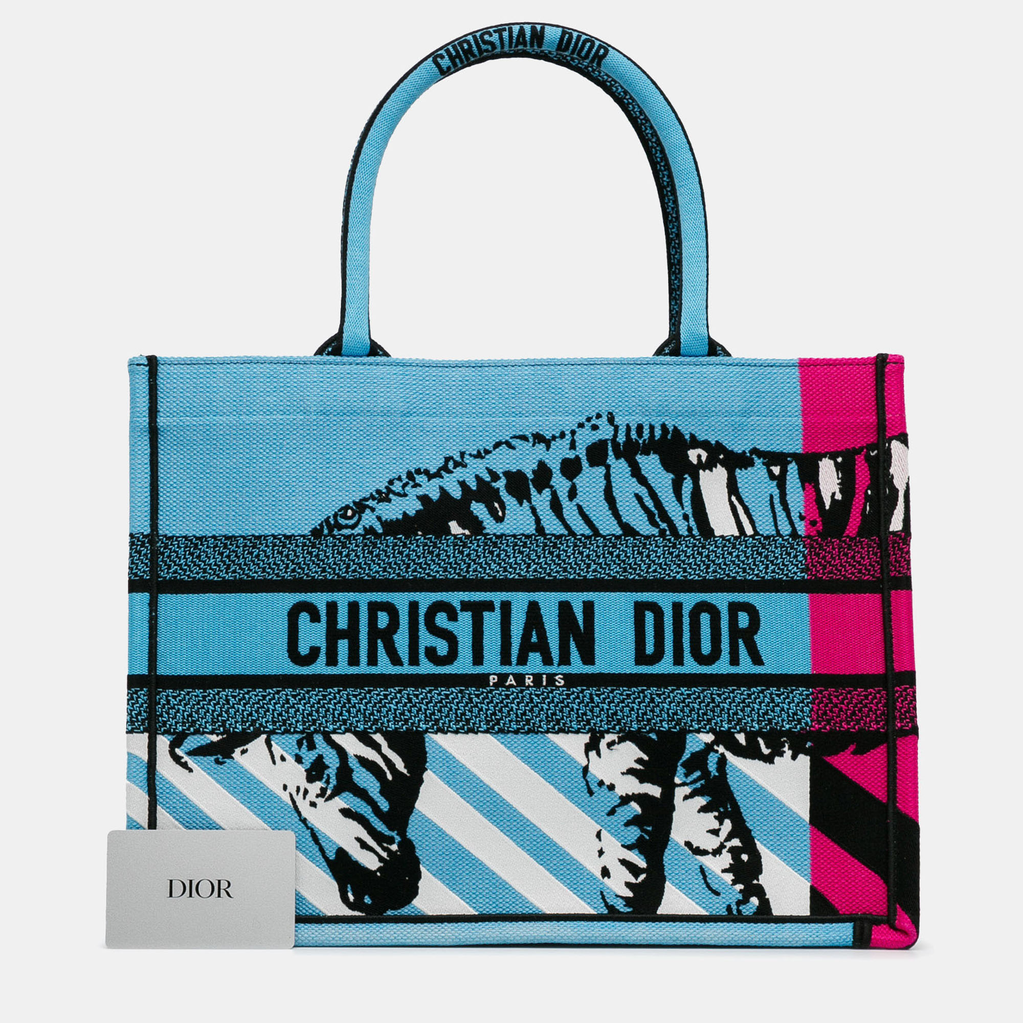 Pre-owned Dior Blue Medium Embroidered Canvas Zebra D Jungle Pop Book Tote