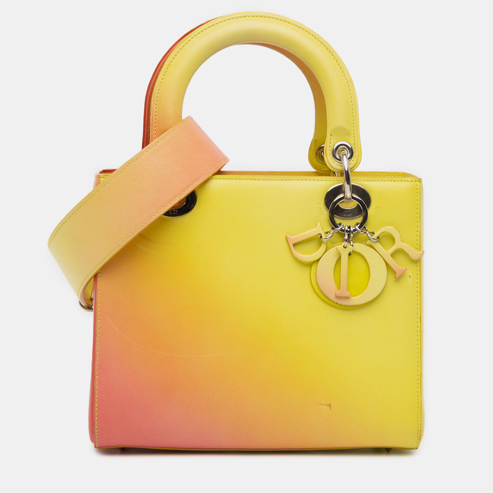 

Dior Multicolor Medium Ombre Calfskin Lady Dior