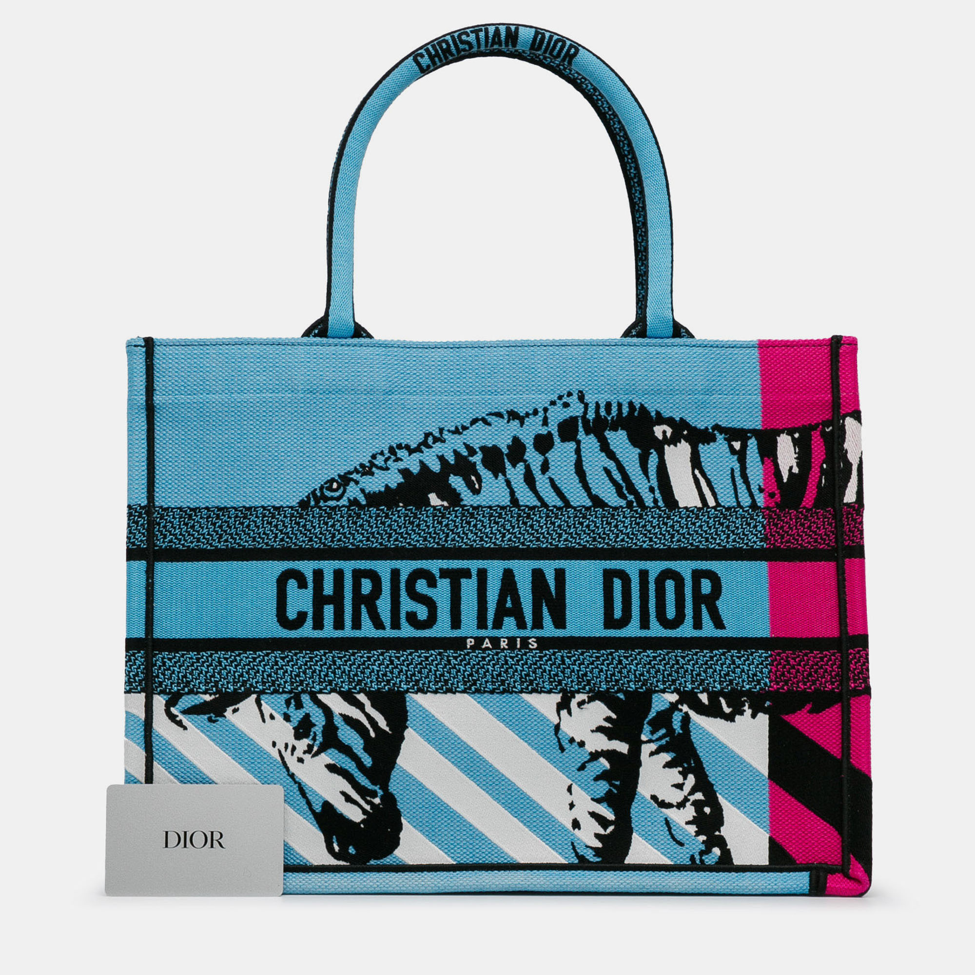 

Dior Blue Medium Embroidered Canvas Zebra D Jungle Pop Book Tote