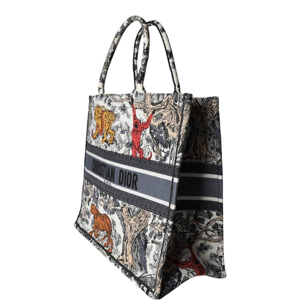 

Dior Multicolor Toile de Jouy Book Tote Bag
