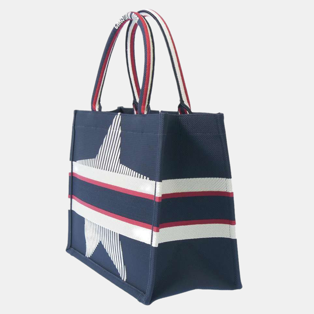 

Dior Multicolor Canvas DiorAlps 2021 Book Tote Bag