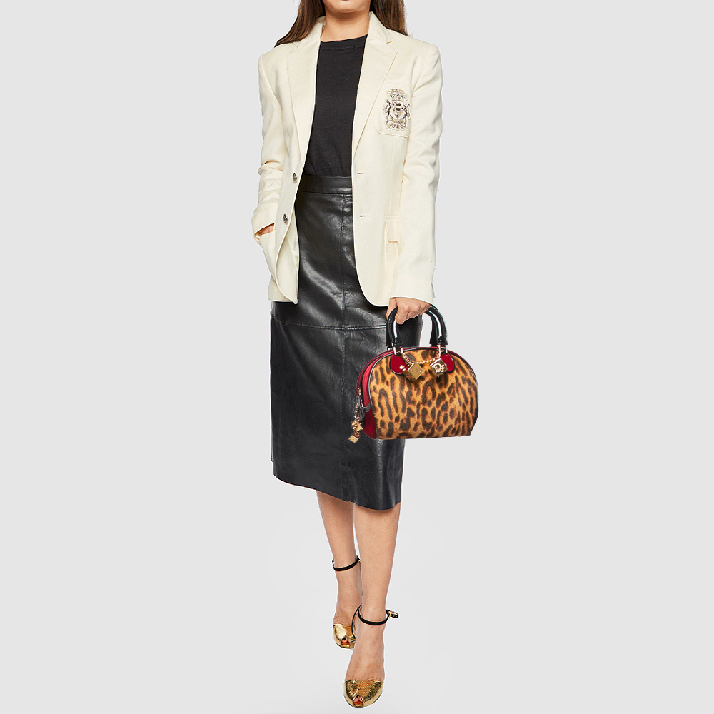 

Dior Multicolor Leopard Print Calfhair, Velvet and Patent Leather Gambler Dice Bag