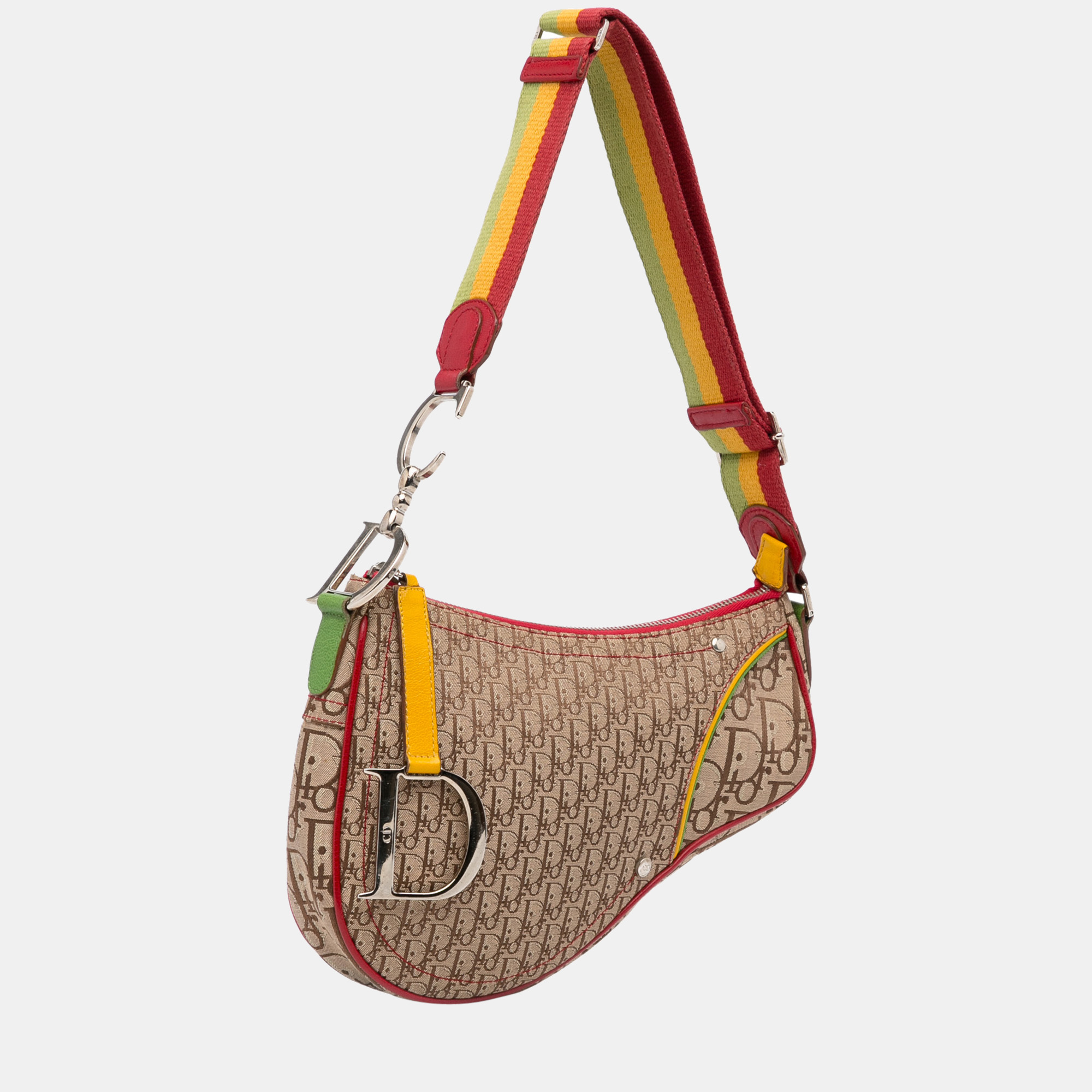 

Dior Multicolor Rasta Saddle Shoulder Bag