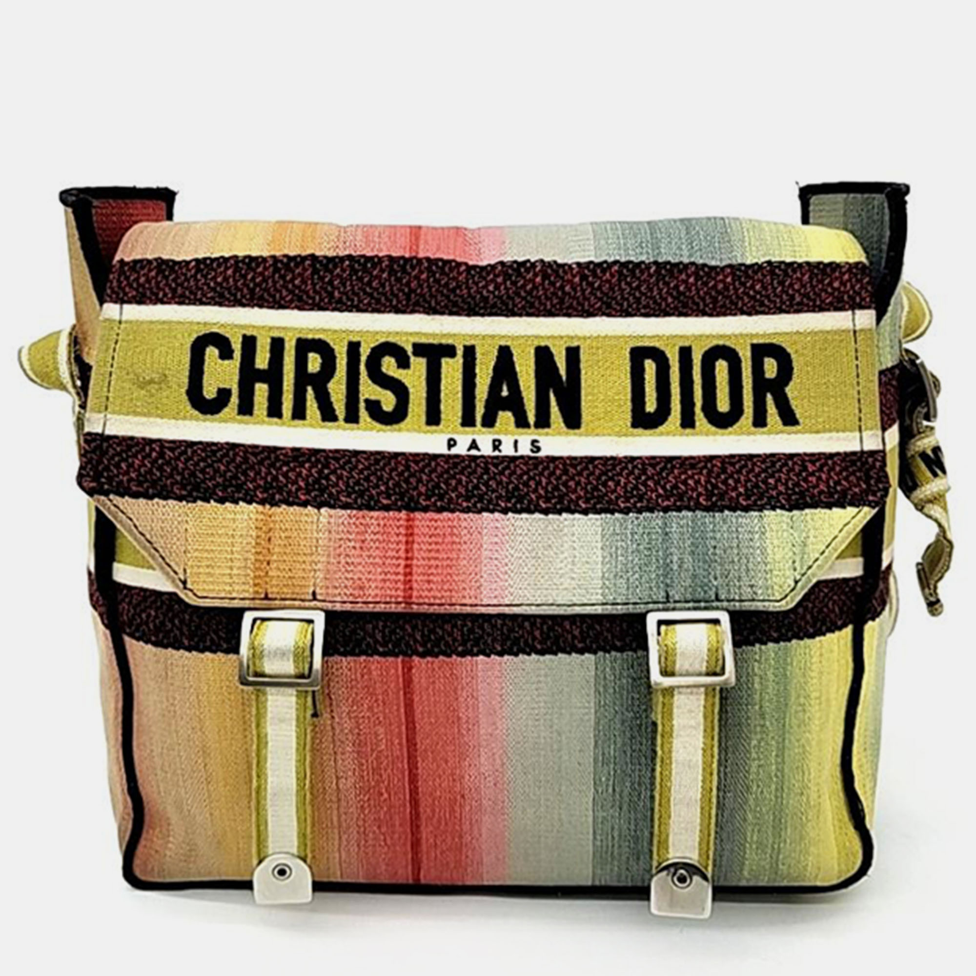 Pre-owned Dior Christian  Camp Bag In Multicolor