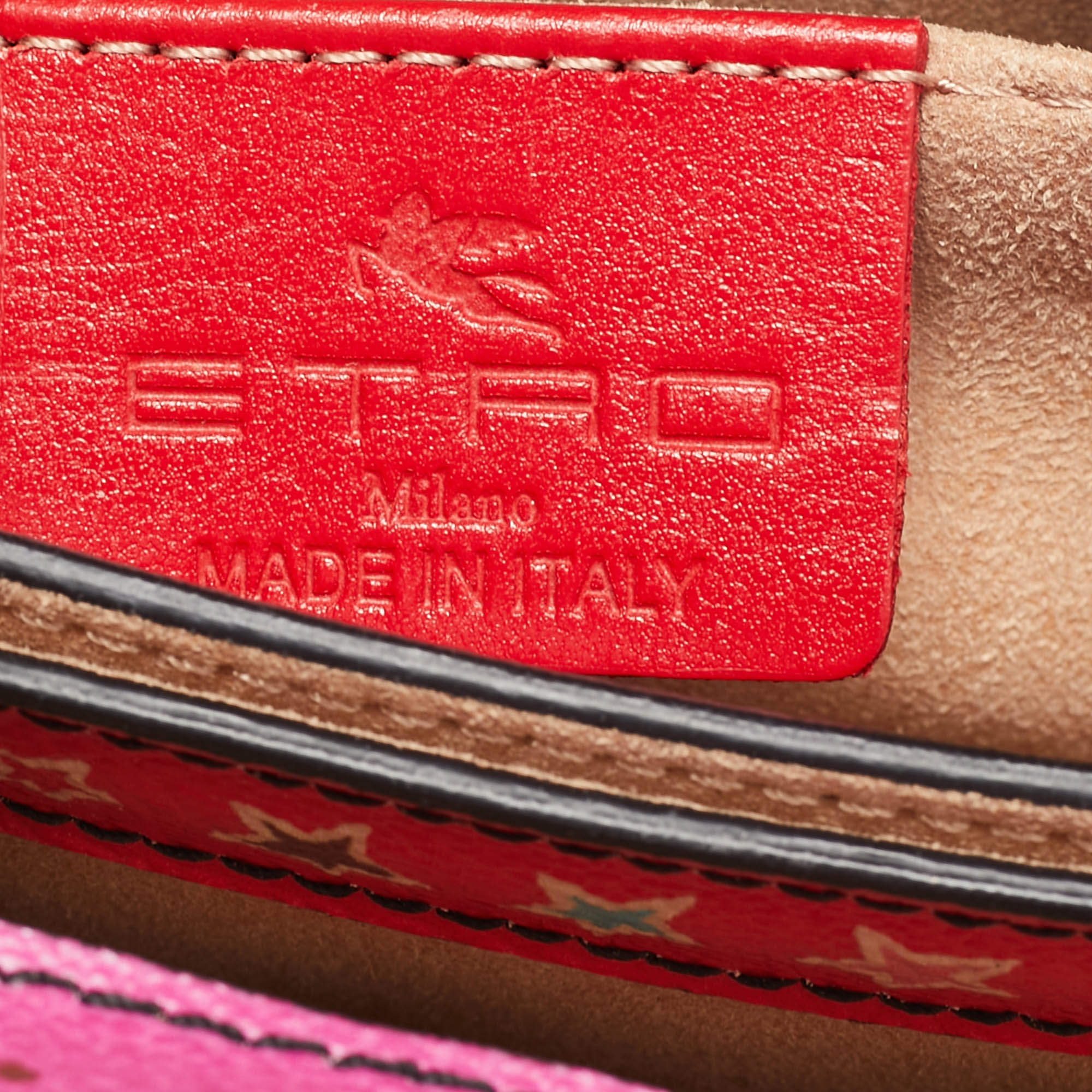 Etro Multicolor Printed Coated Canvas Frame Crossbody Bag 