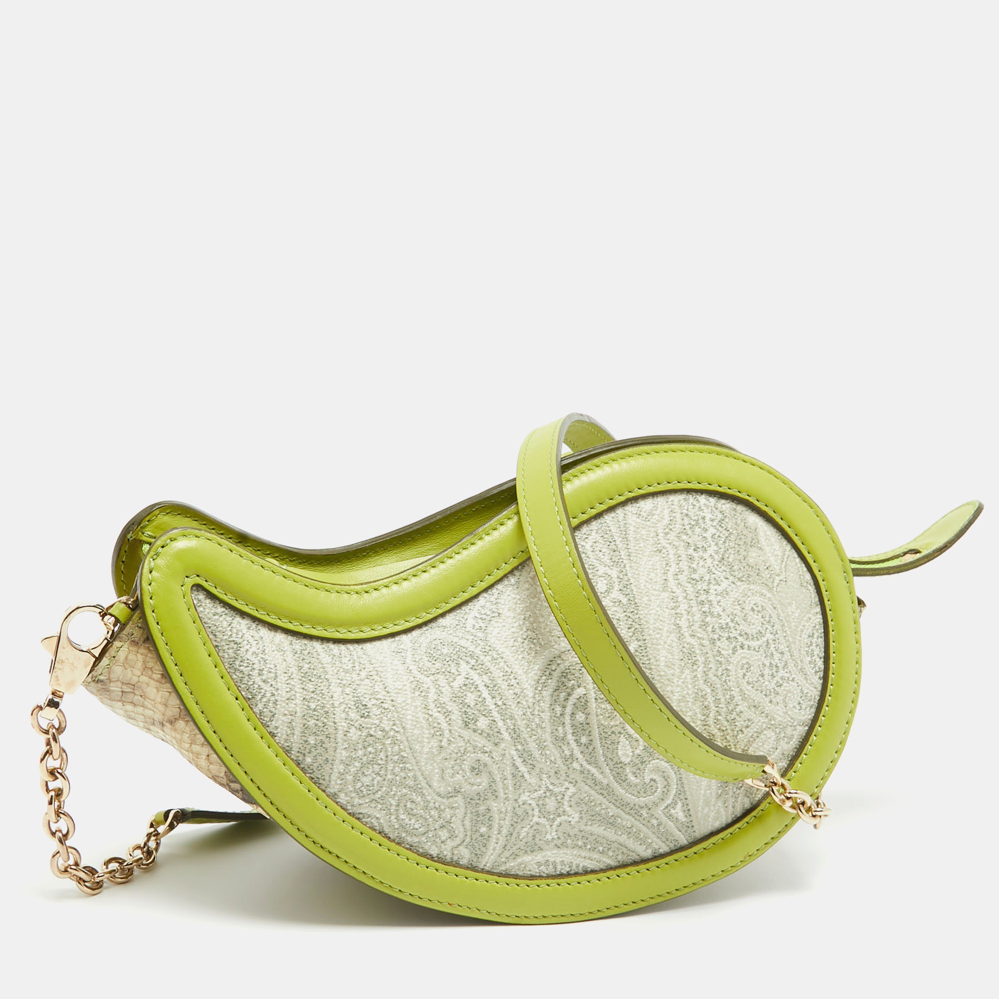 

Etro Green Paisley Print Coated Canvas, Python Embossed and Leather Crossbody Bag