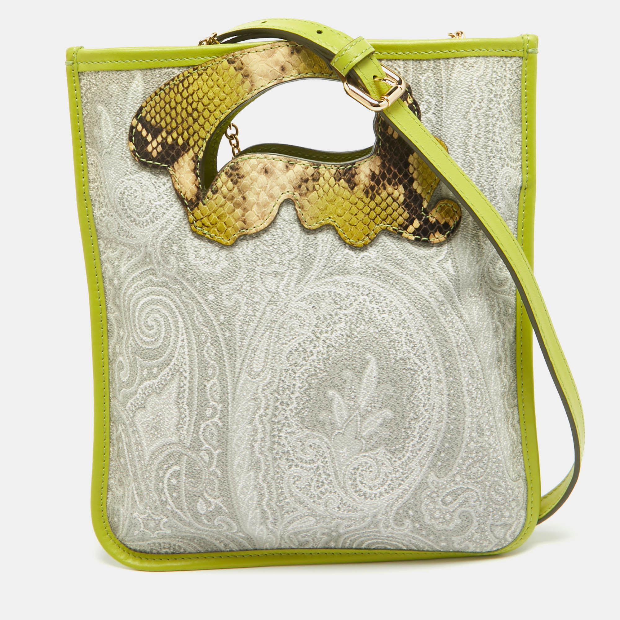 

Etro Green Paisley Print Coated Canvas, Python Embossed and Leather Slim Crossbody Bag