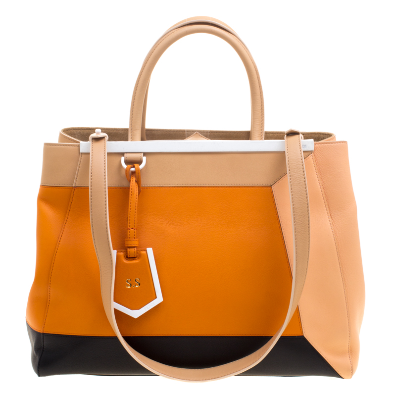 Pre Owned Fendi Multicolor Leather 2Jours Tote