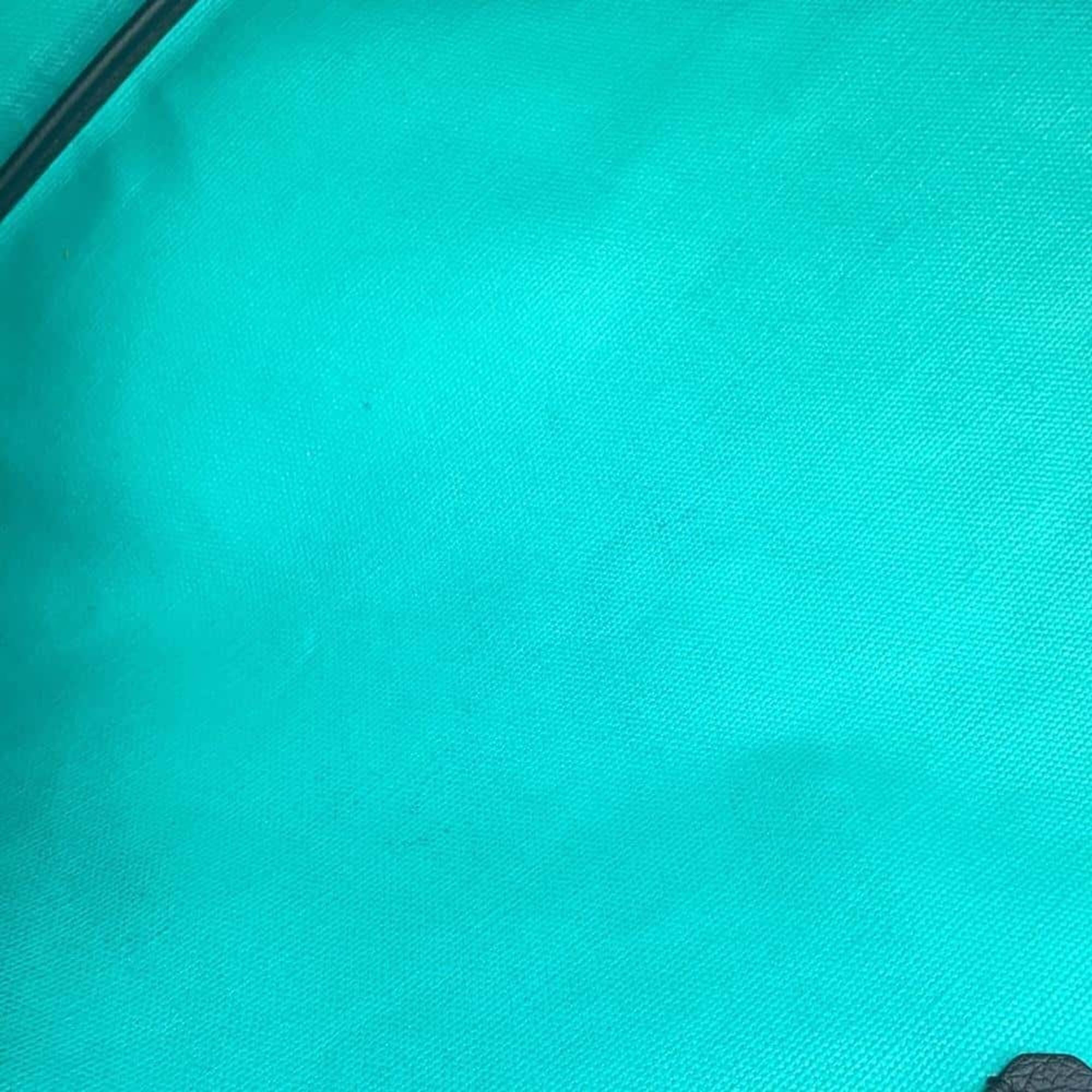 Goyard Black/Green PVC and Leather Saint Louis Clairvoy PM Tote Bag 