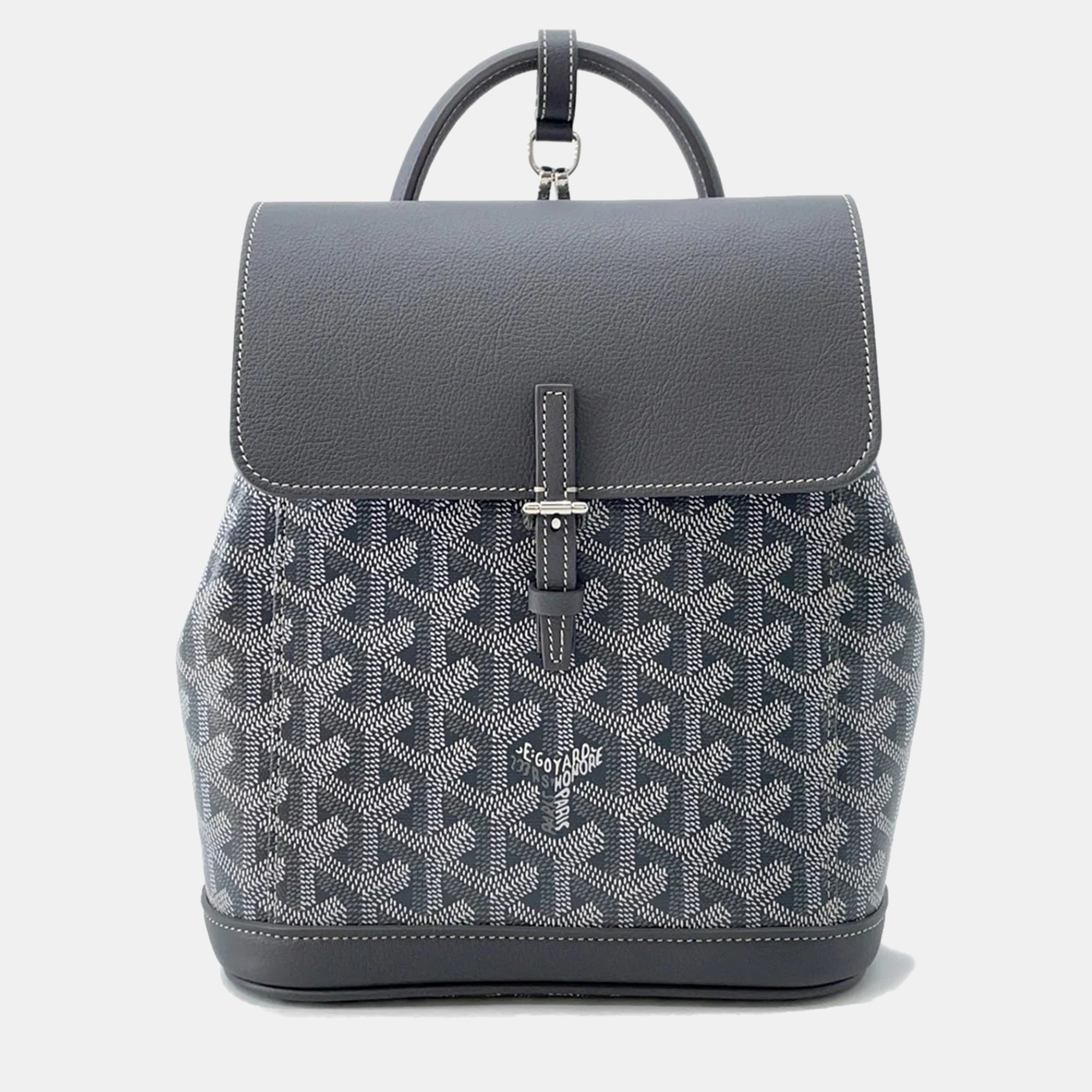 

Goyard Alpan Backpack Gray Pvc Leather Size Mini, Grey