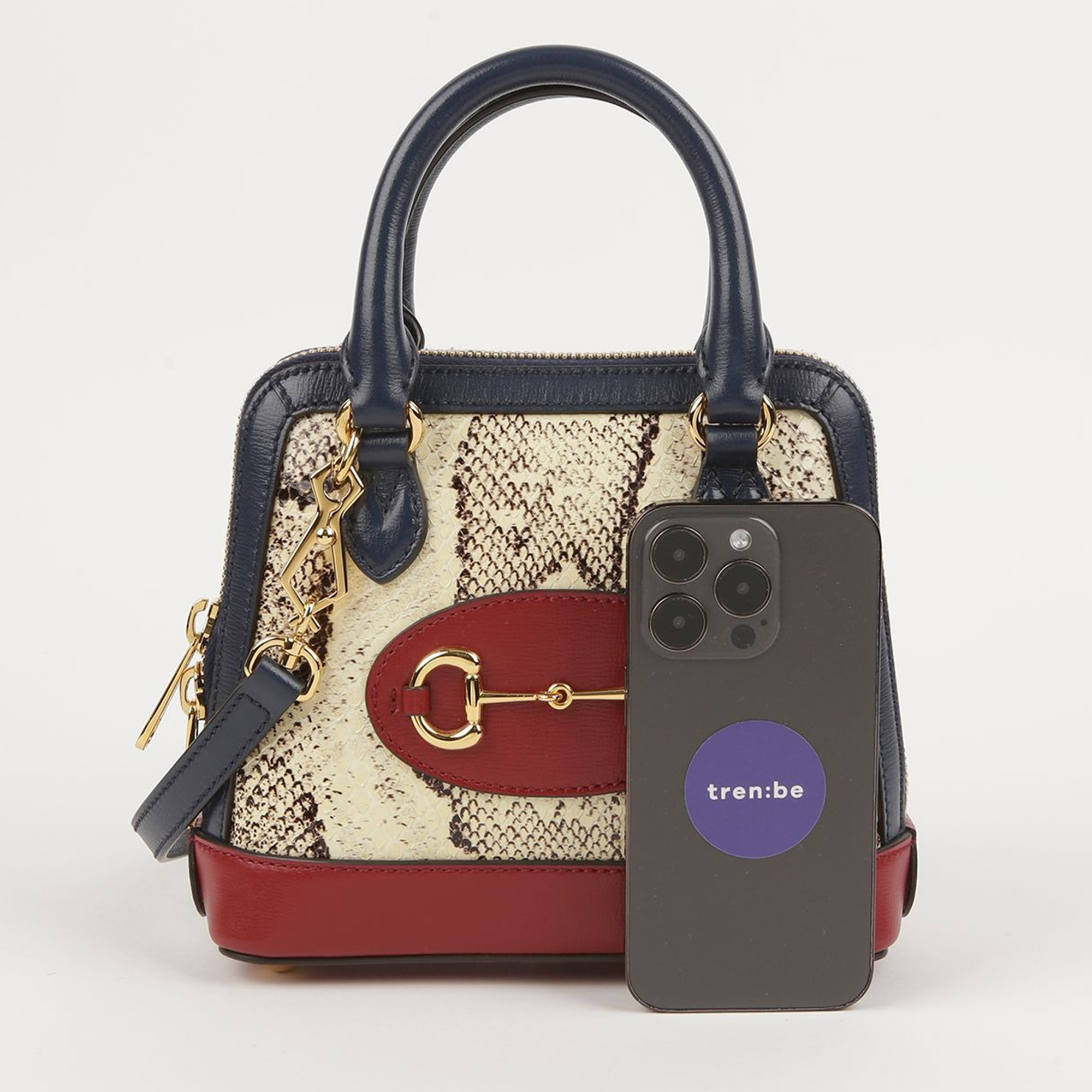Gucci Mini Leather Trimmed Python Horsebit 1955 Tote And Shoulder Bag 