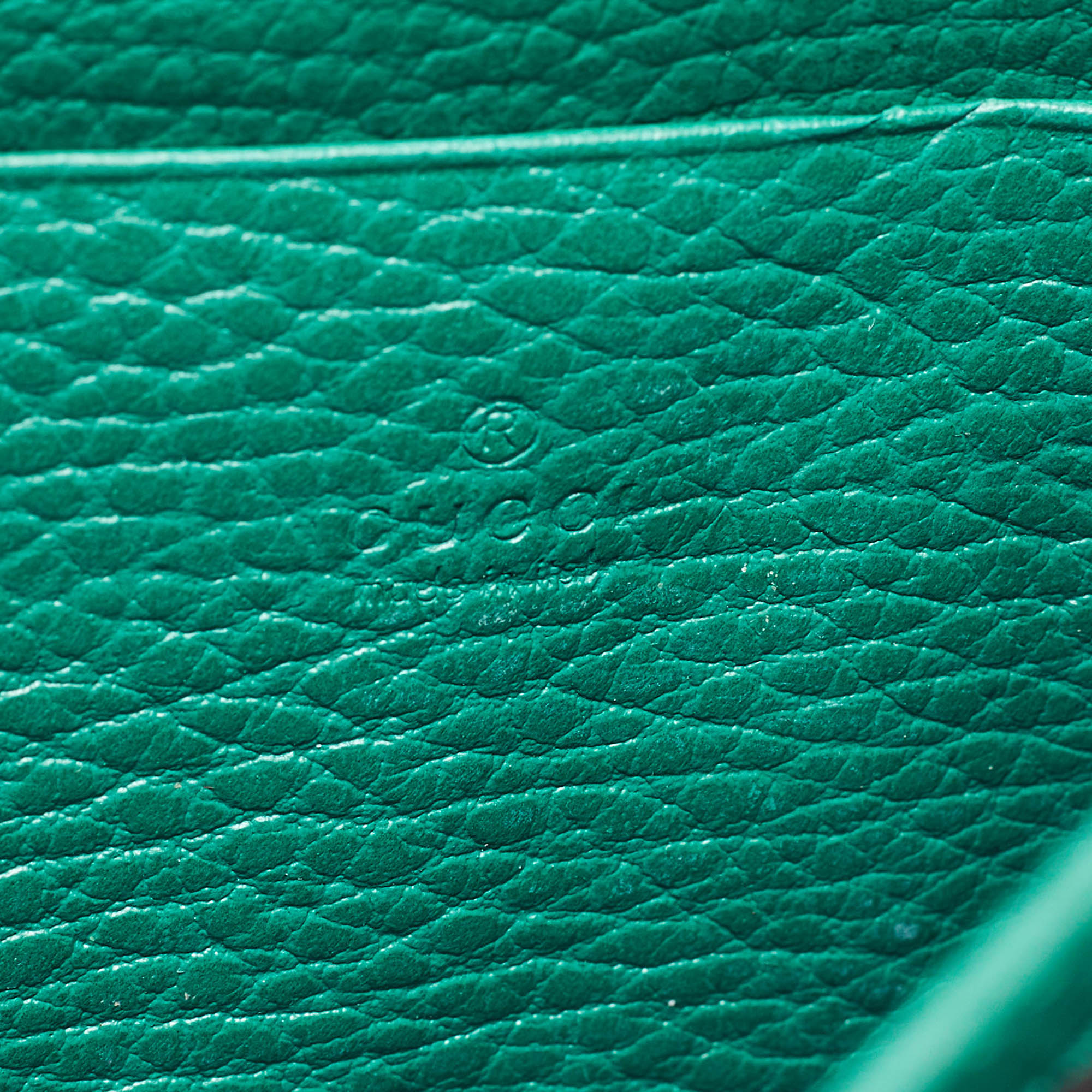 Gucci Green Leather Dionysus Mini Wallet on Chain 