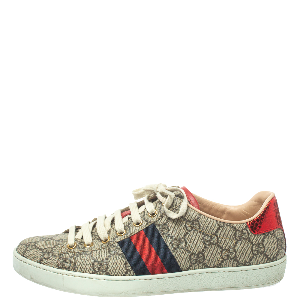 

Gucci Brown Coated Canvas And Embossed Python Leather Ace Web Low Top Sneakers Size