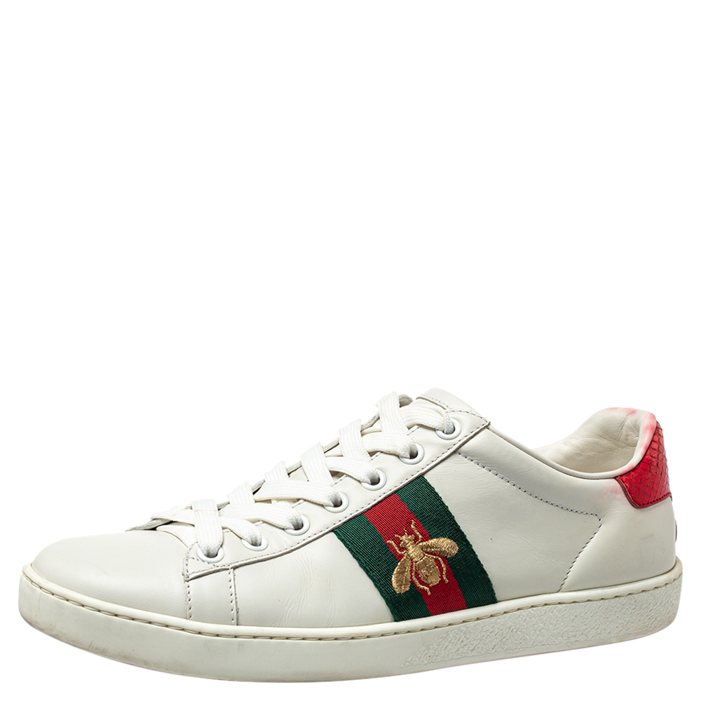 Pre-owned Gucci White Leather Ace Web Low Top Sneakers Size 37.5