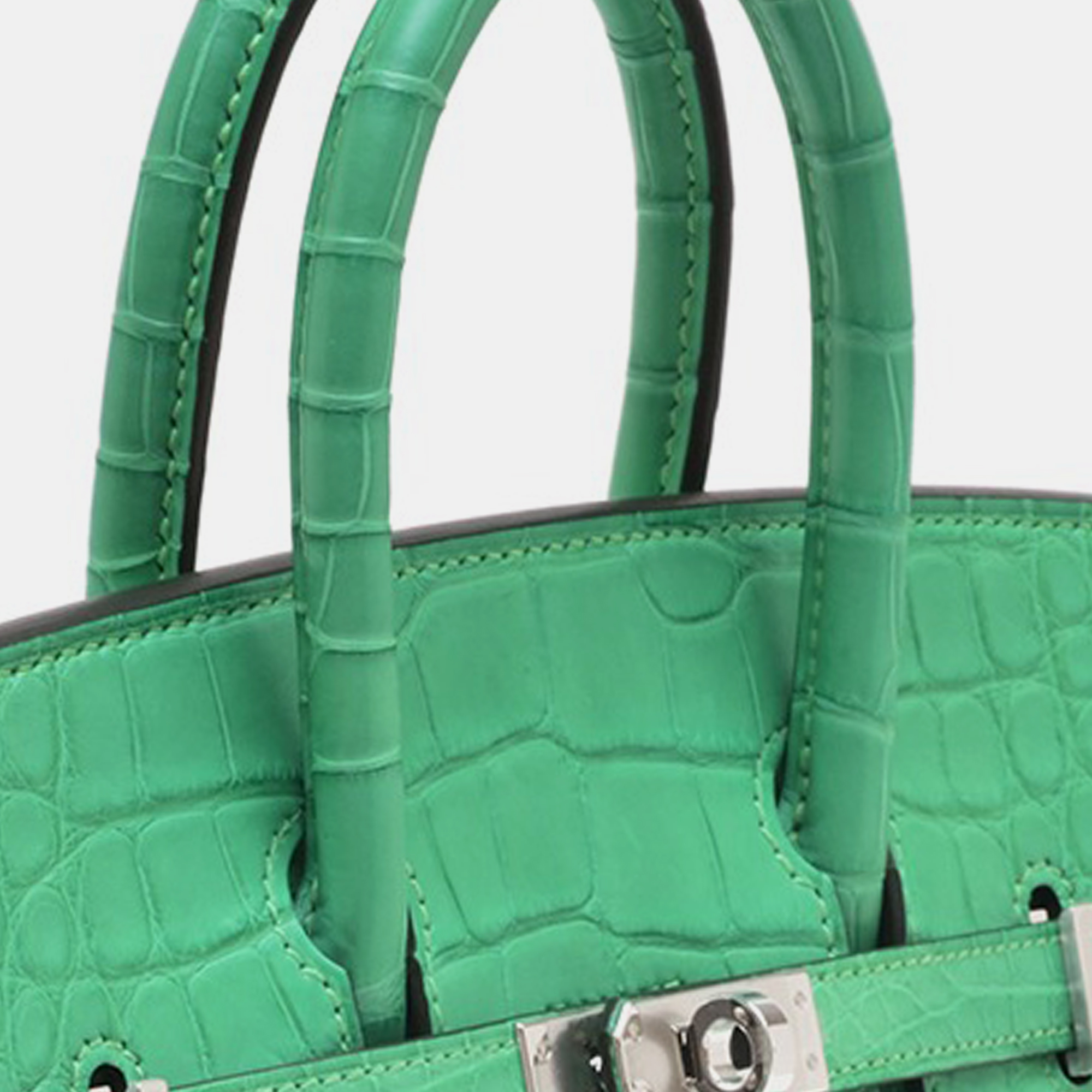 Hermes Vert Comics Togo Leather/Matte Alligator Crocodile Skin Birkin 25 Bag 3