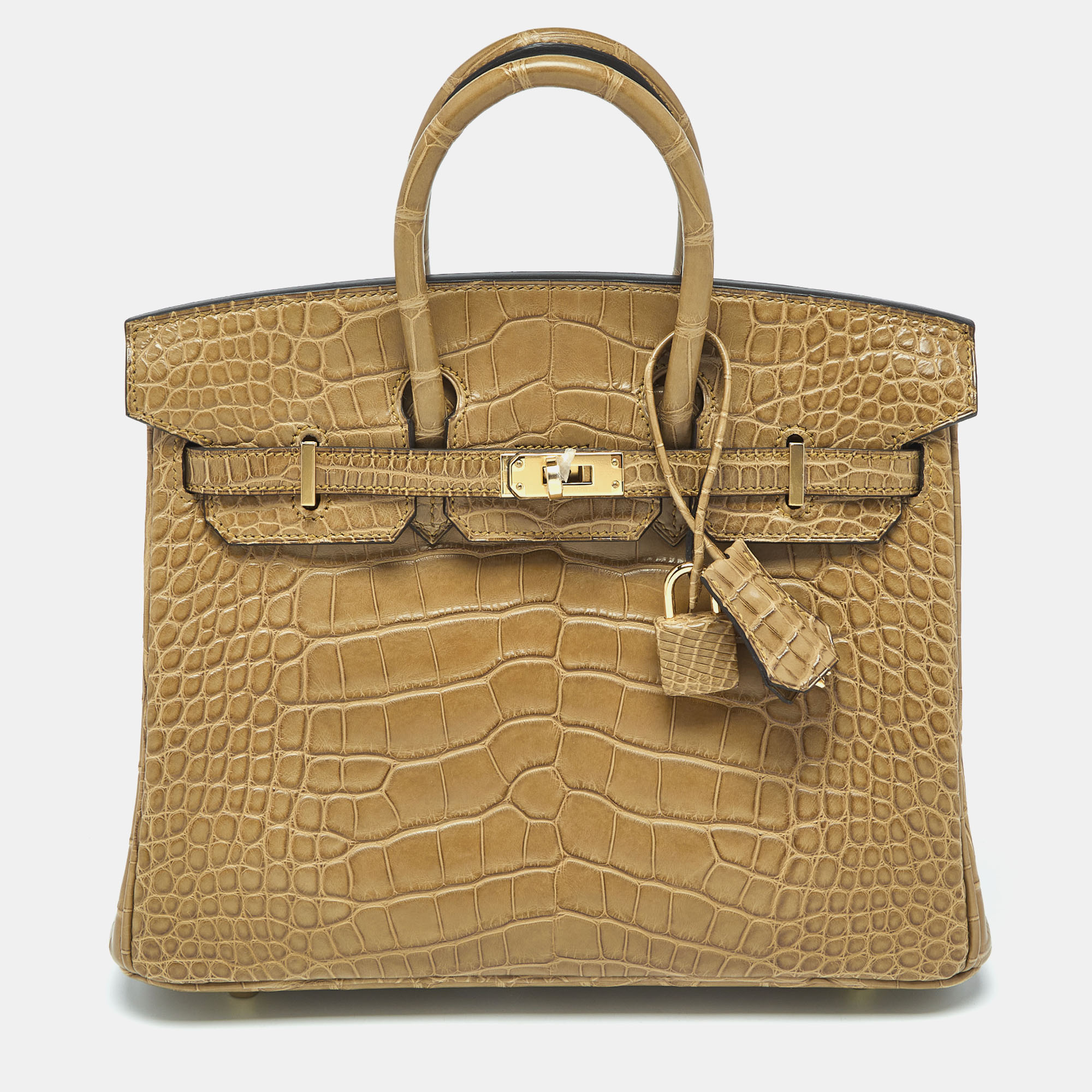 

Hermes Poussiere Alligator Gold Finish Birkin 25 Bag, Brown