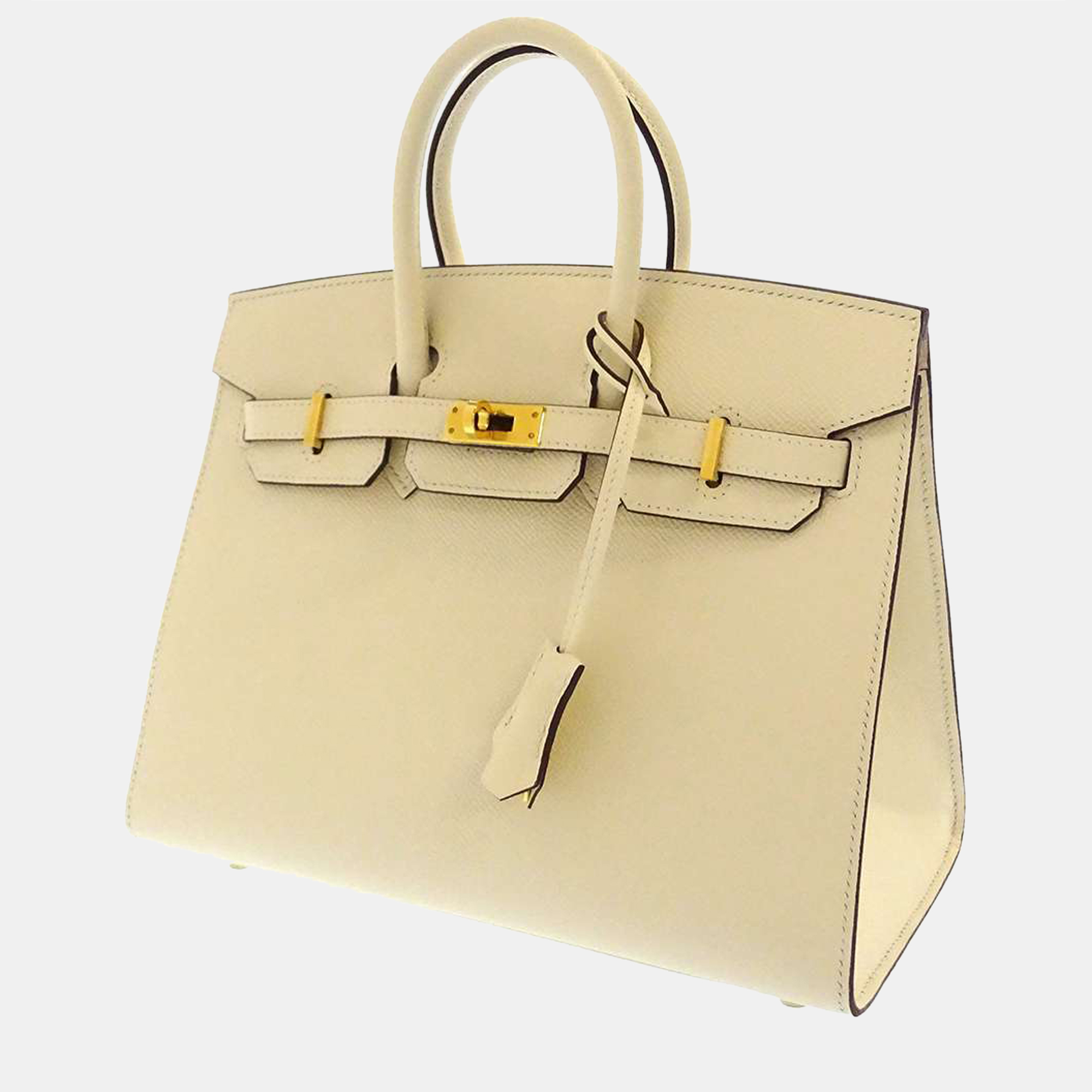 Hermès Birkin Nata Epsom Handbag
