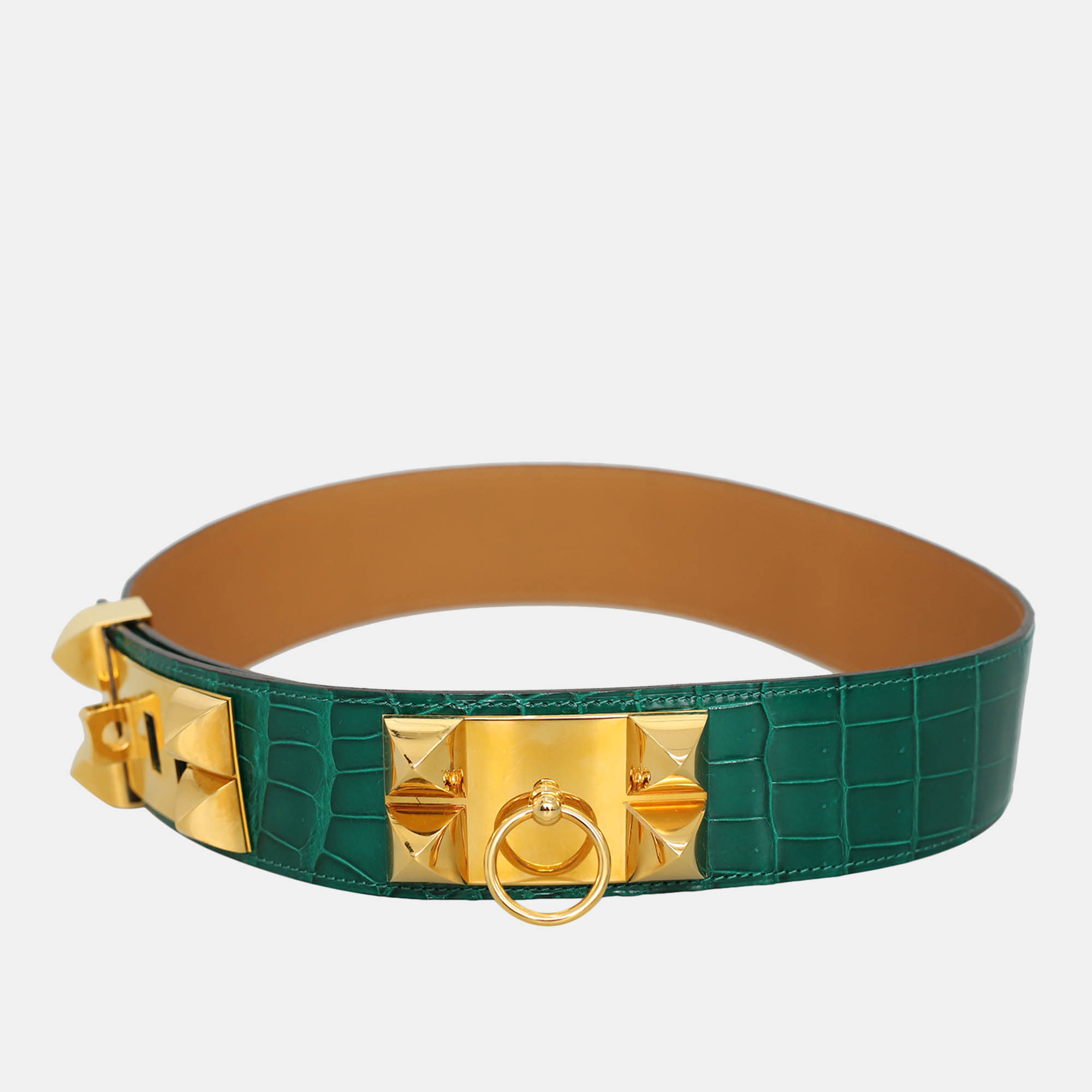 

Shiny Porosus Crocodile Collier De Chien CDC Belt 70, Green