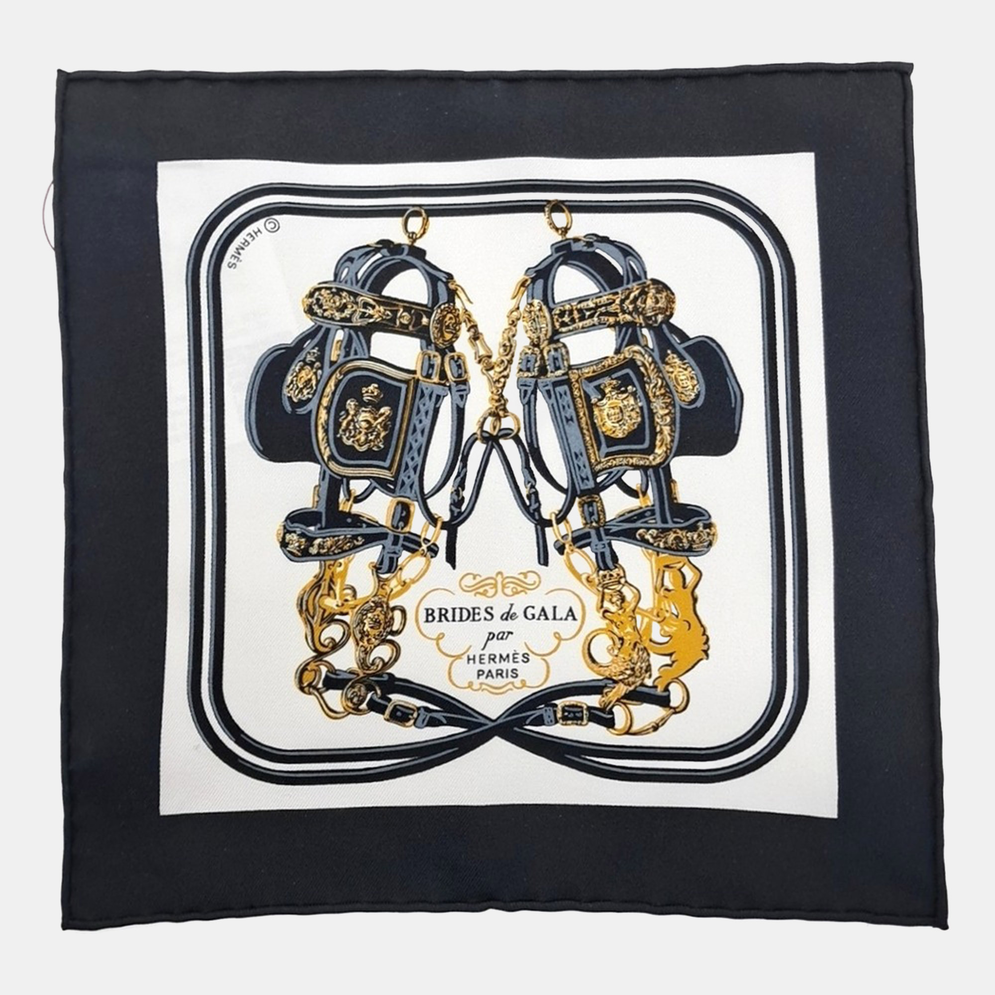 

Hermes Multicolor Silk Nano Scarf
