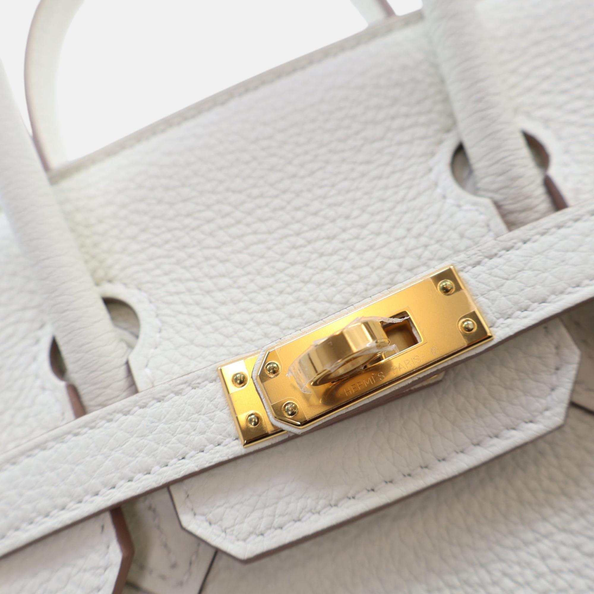 Hermes Mushroom Togo Leather Birkin 25 Bag 