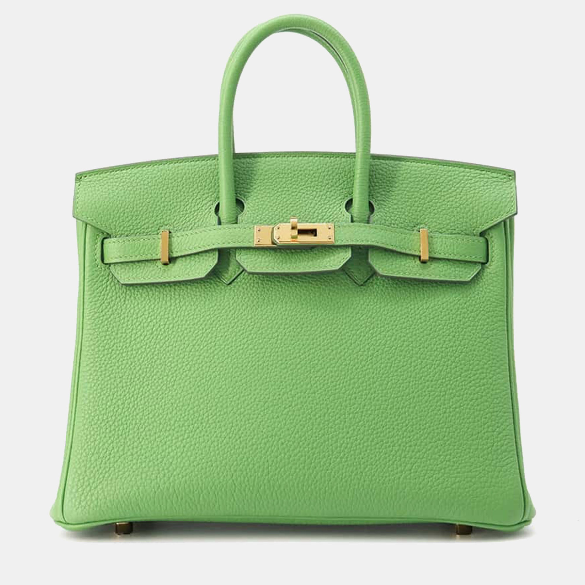 

Hermes Vert Yucca Togo Leather Birkin 25 Tote Bag, Green