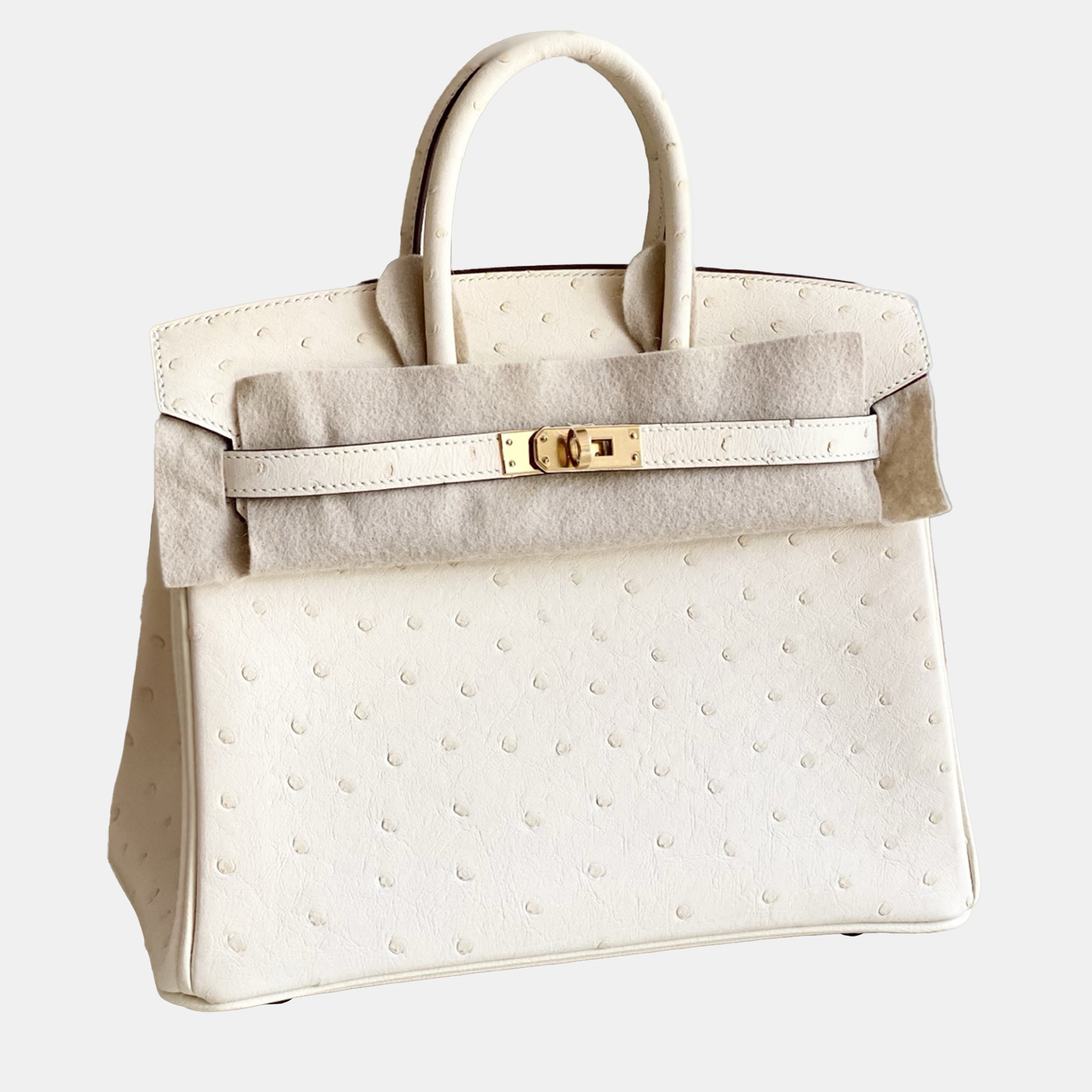 

Hermes Birkin 25 Nata Ostrich Leather Handbag, White