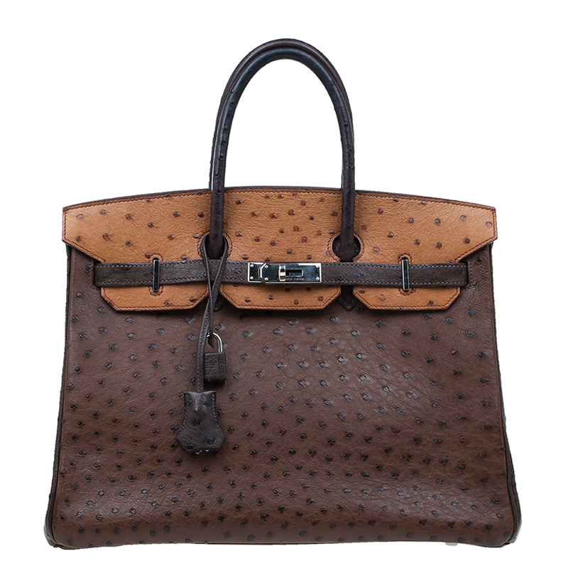 Buy Hermes Brown Tri Color Ostrich Leather Palladium Birkin 35 Bag 46295 at best price | TLC