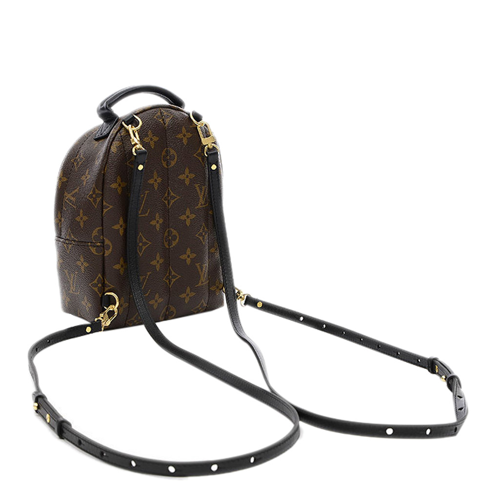 

Louis Vuitton Brown Monogram Canavs Palm Springs Mini Backpack Bag