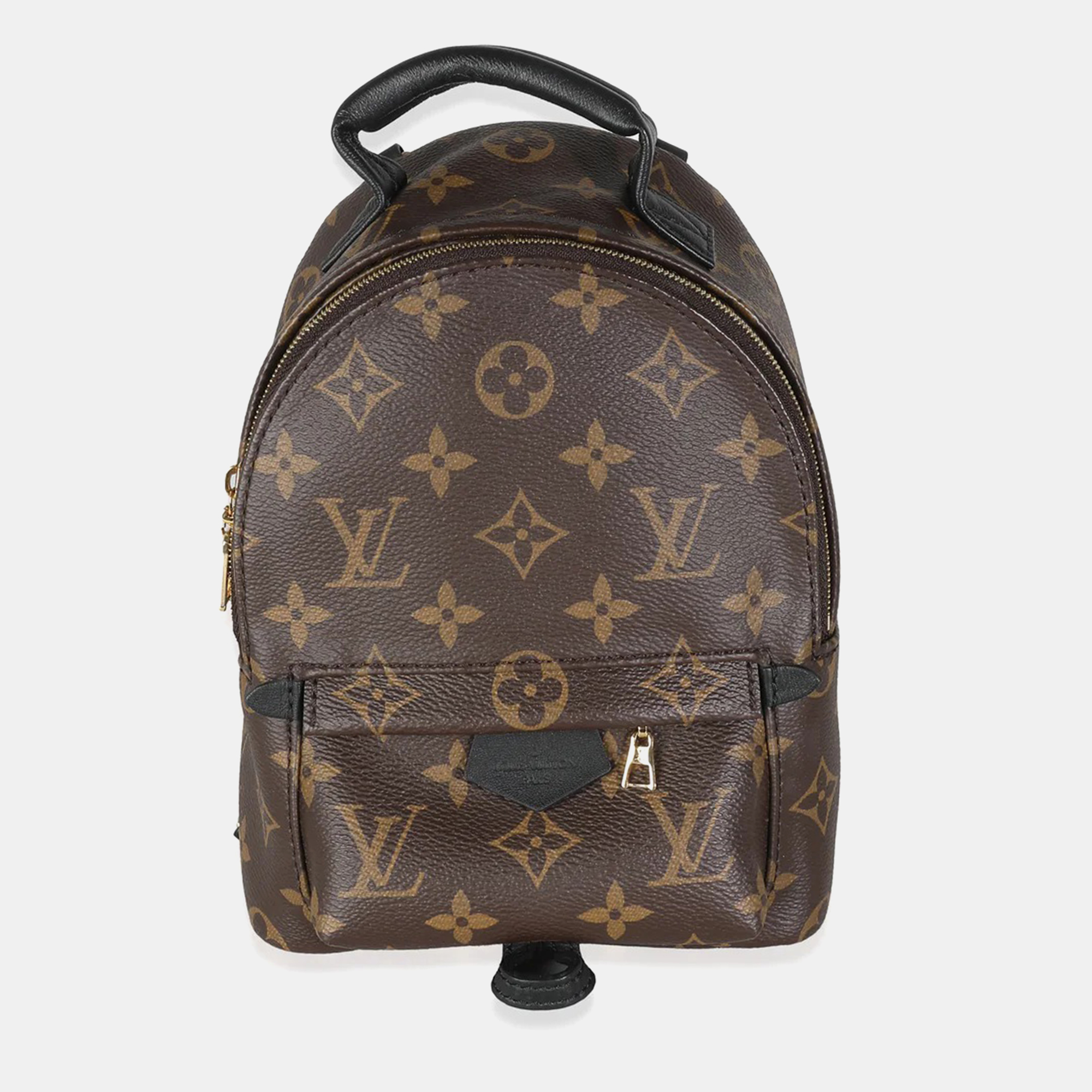 

Louis Vuitton Brown Monogram Canvas Mini Palm Springs Backpack