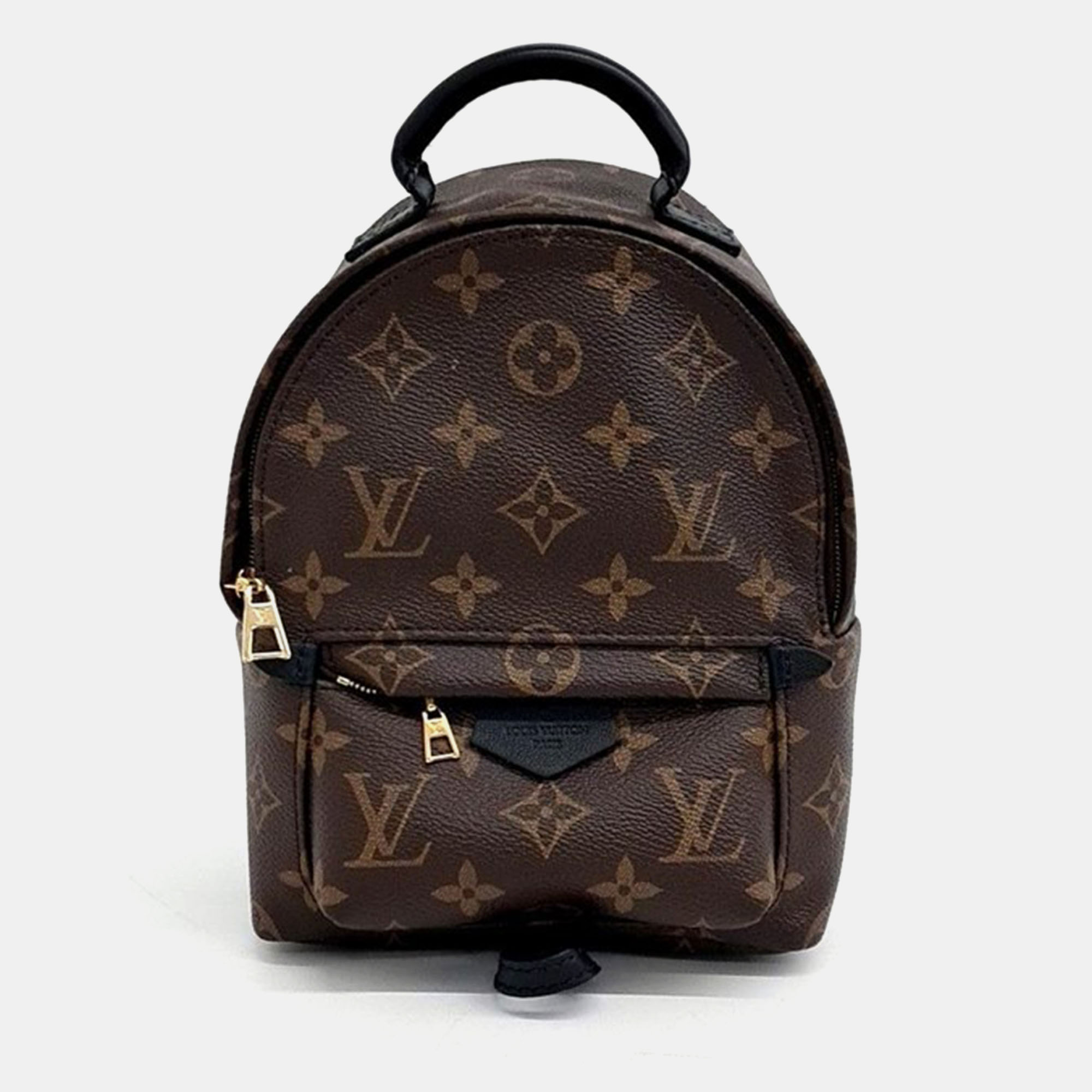 

Louis Vuitton Palm Springs Mini Backpack, Brown