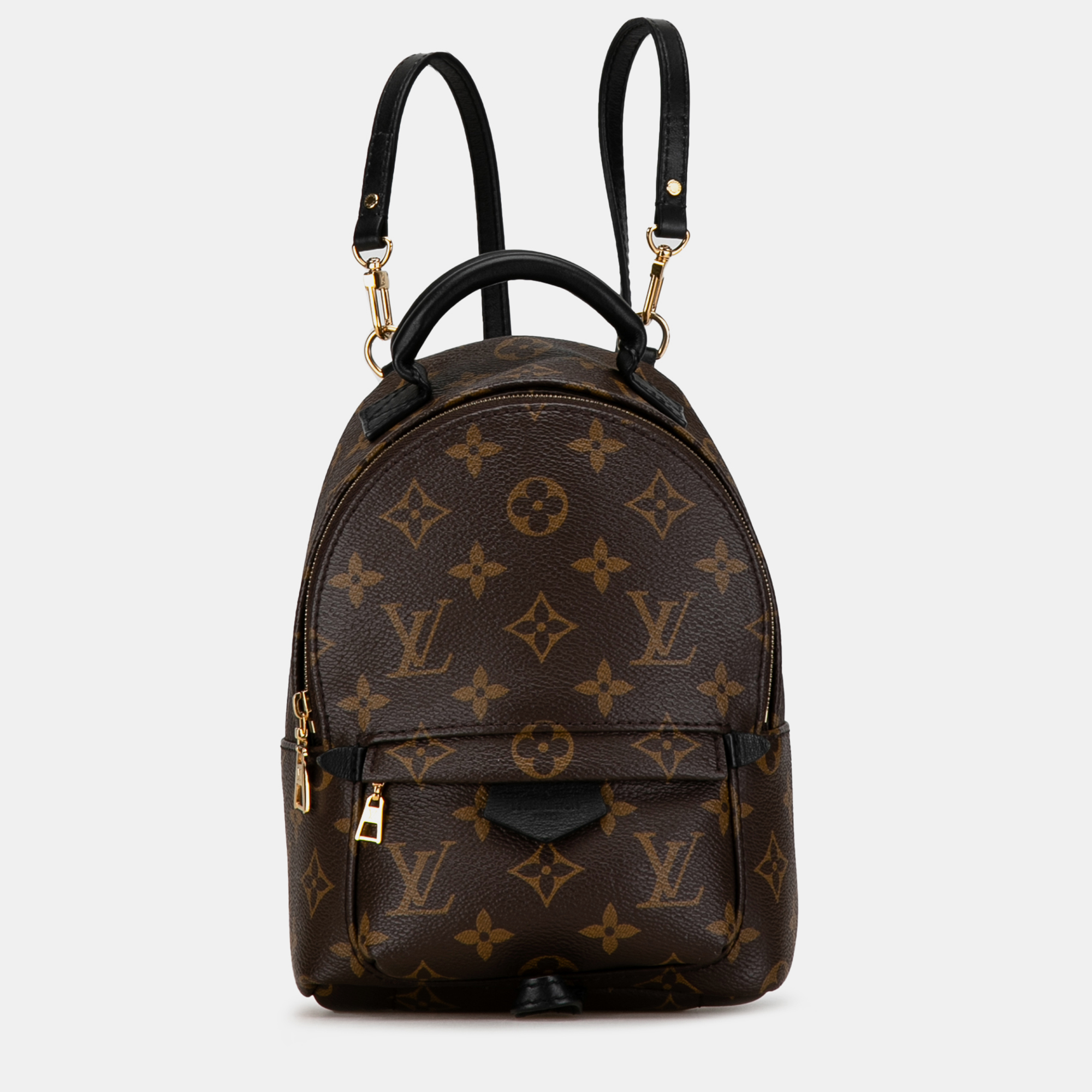 

Louis Vuitton Monogram Mini Palm Springs, Brown