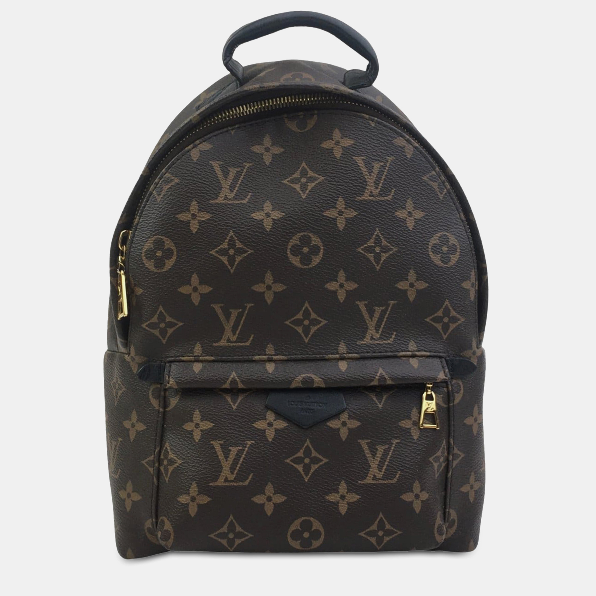 

Louis Vuitton Monogram Palm Springs PM Backpack, Brown