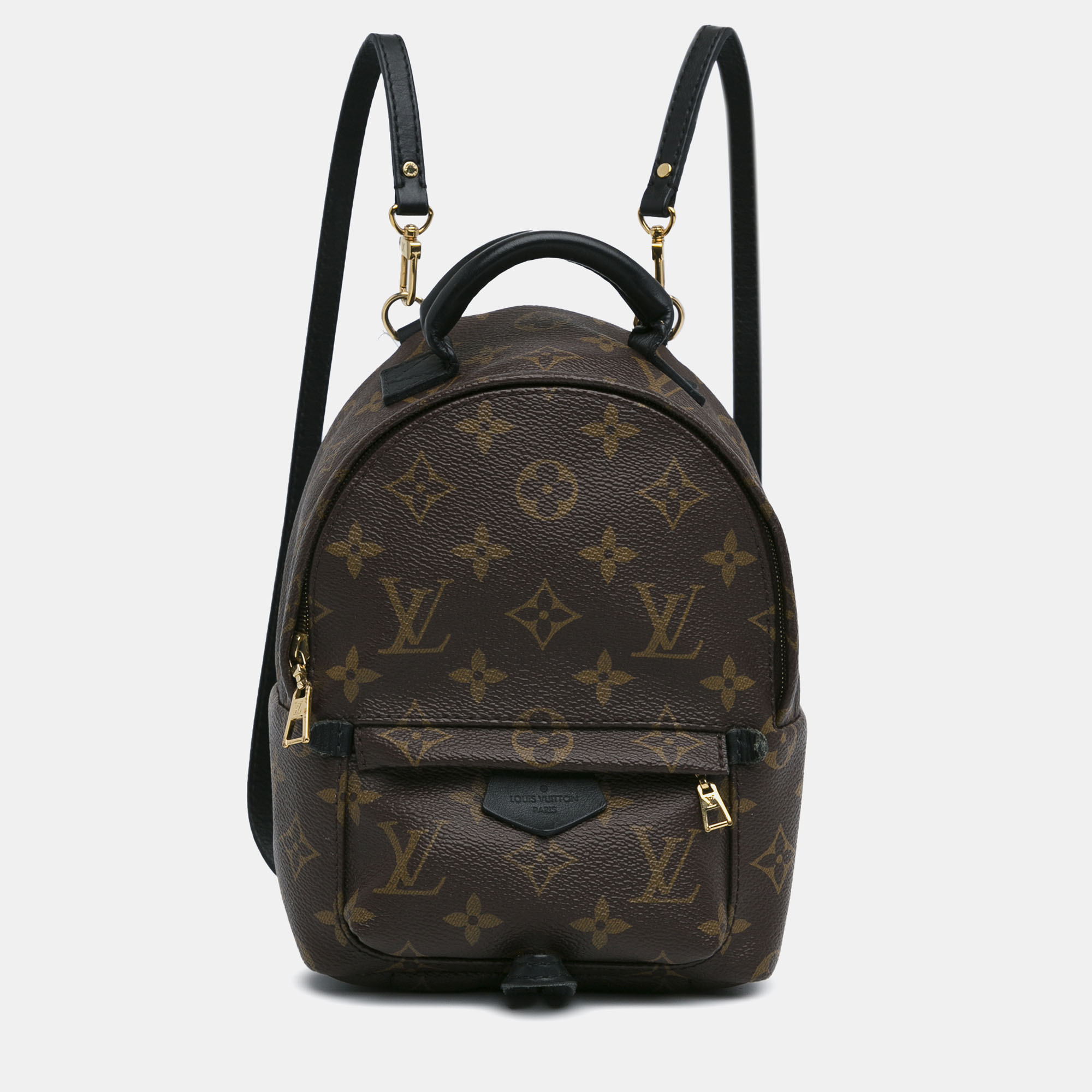 

Louis Vuitton Monogram Mini Palm Springs, Brown