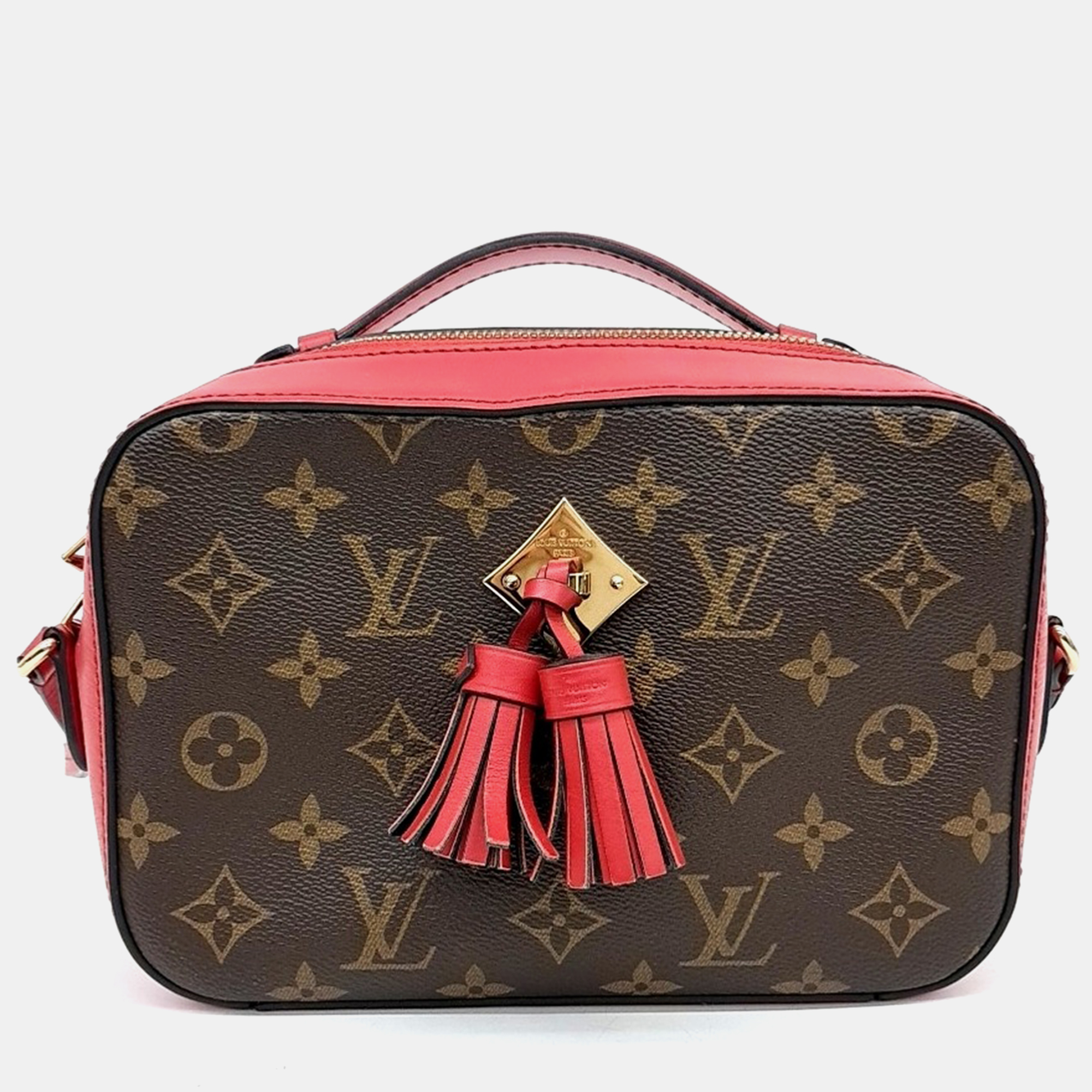 

Louis Vuitton Monogram Sainttonju bag, Brown