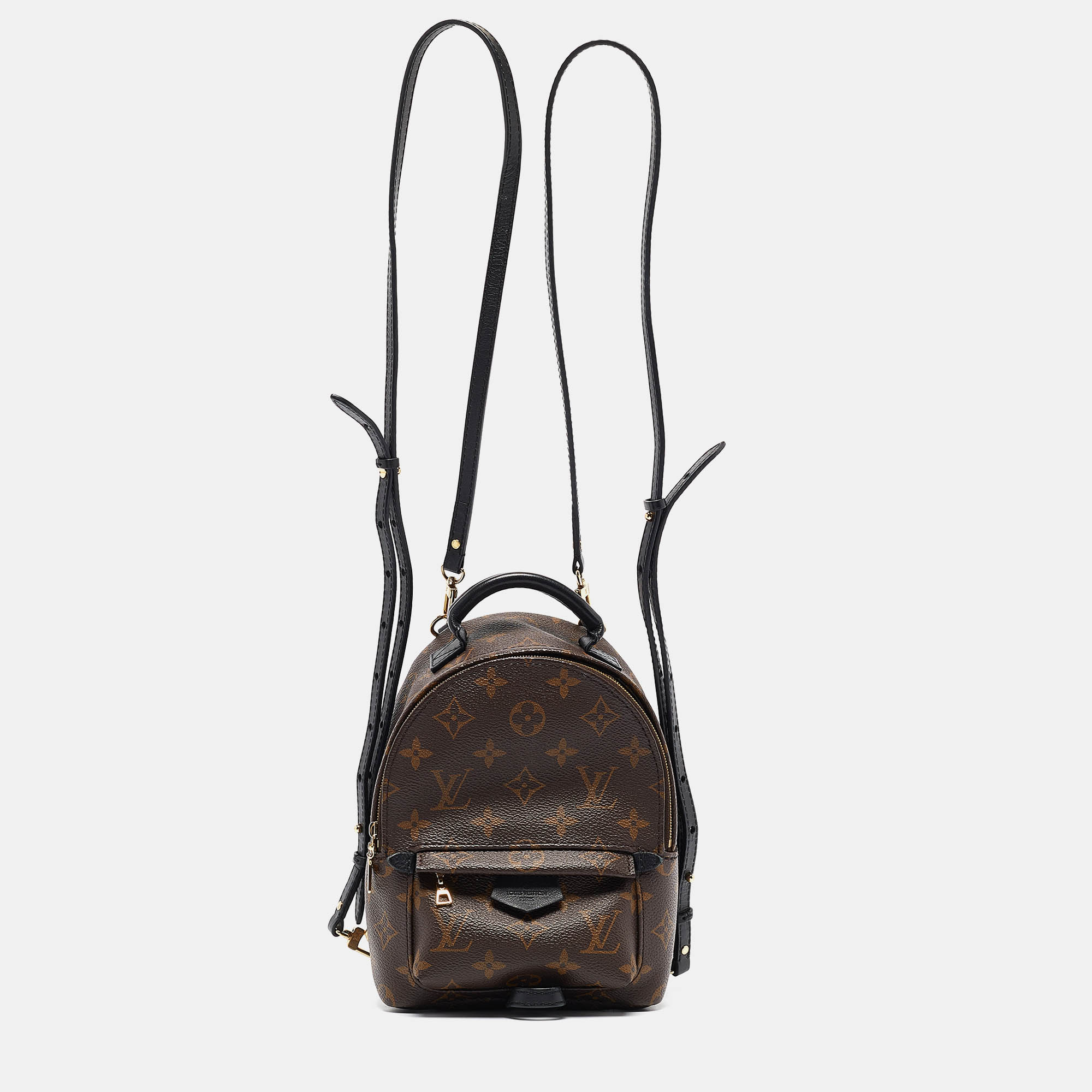 

Louis Vuitton Monogram Canvas Mini Palm Springs Backpack, Brown