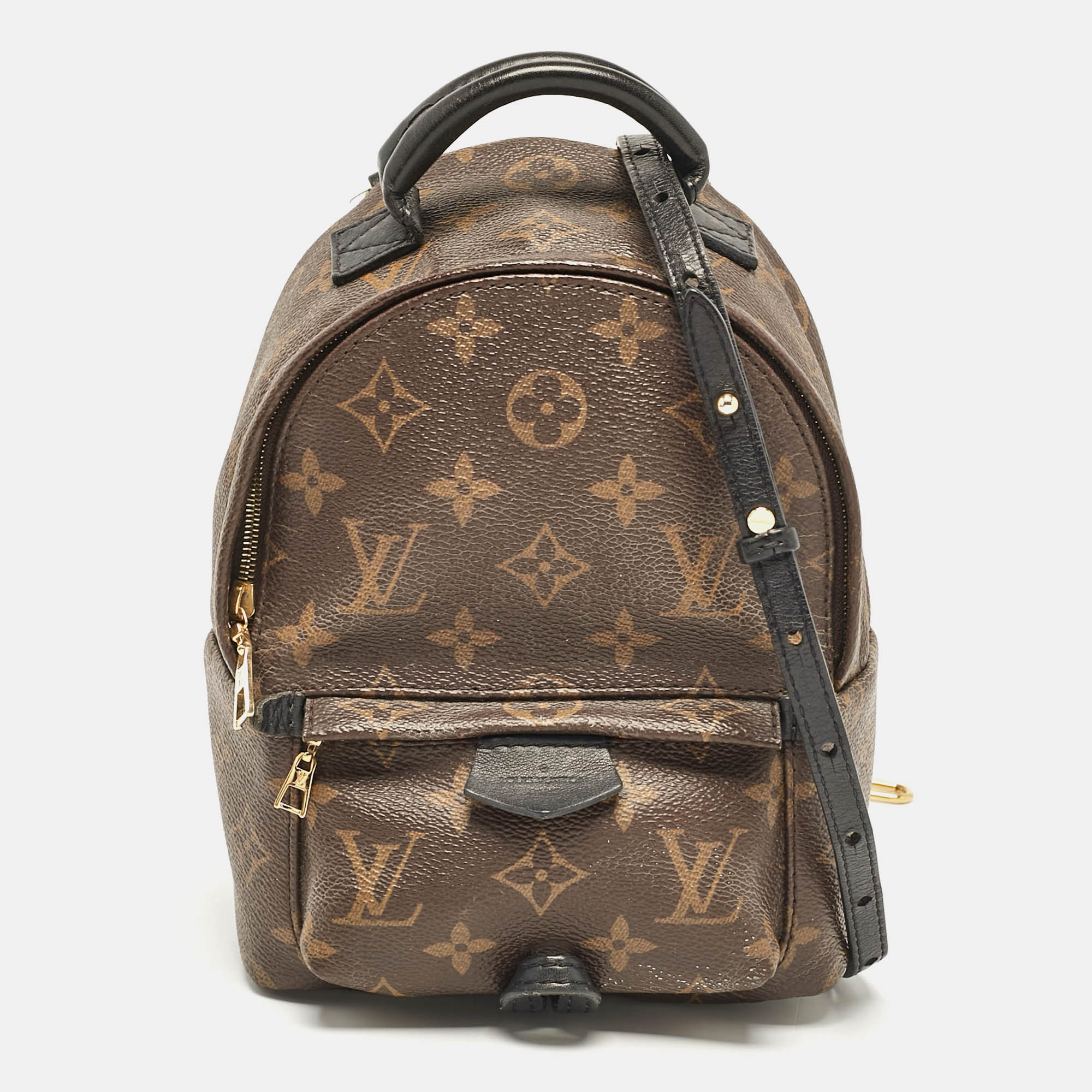 

Louis Vuitton Monogram Canvas Mini Palm Springs Backpack, Brown